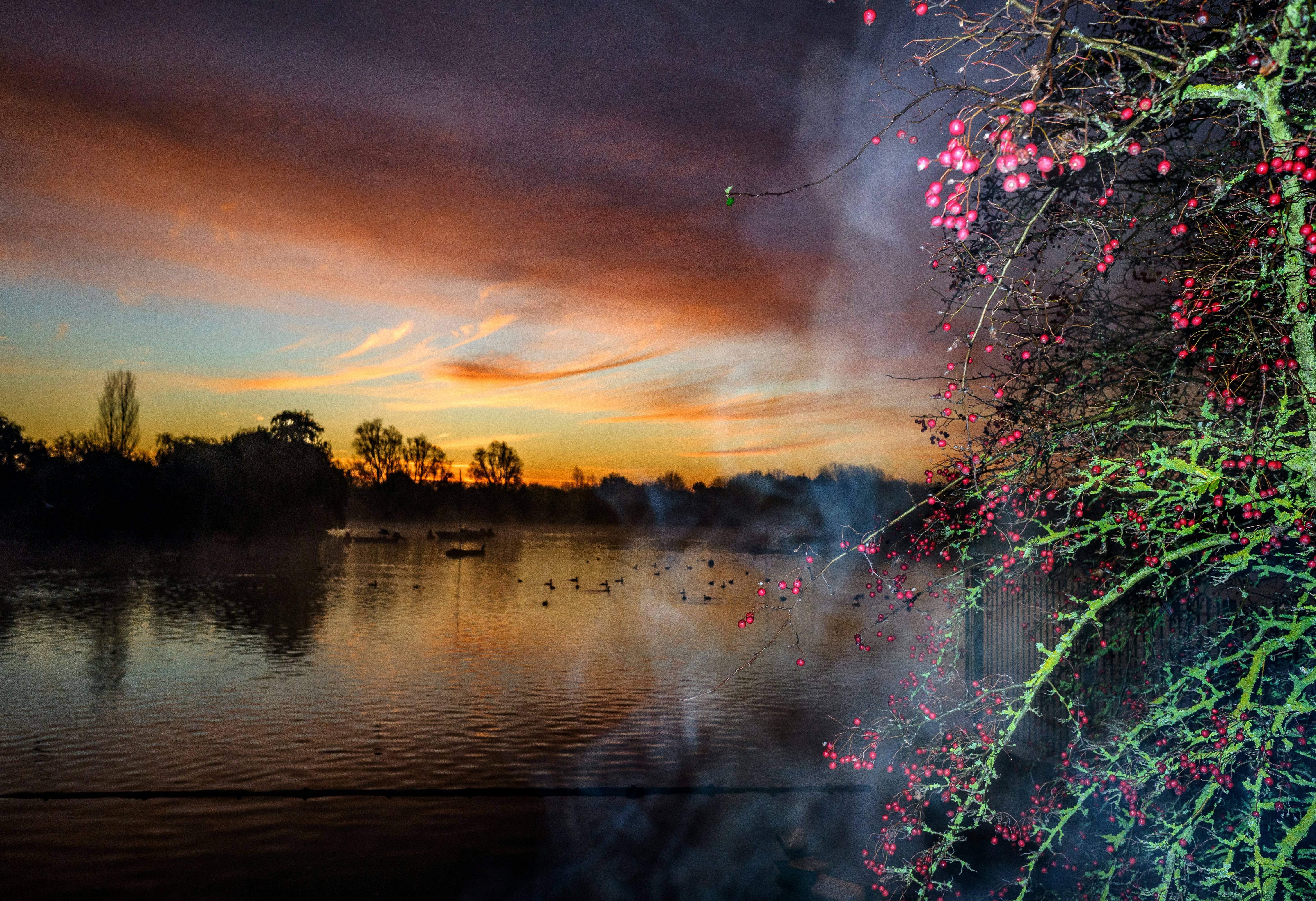 Photo by grievek1610begur