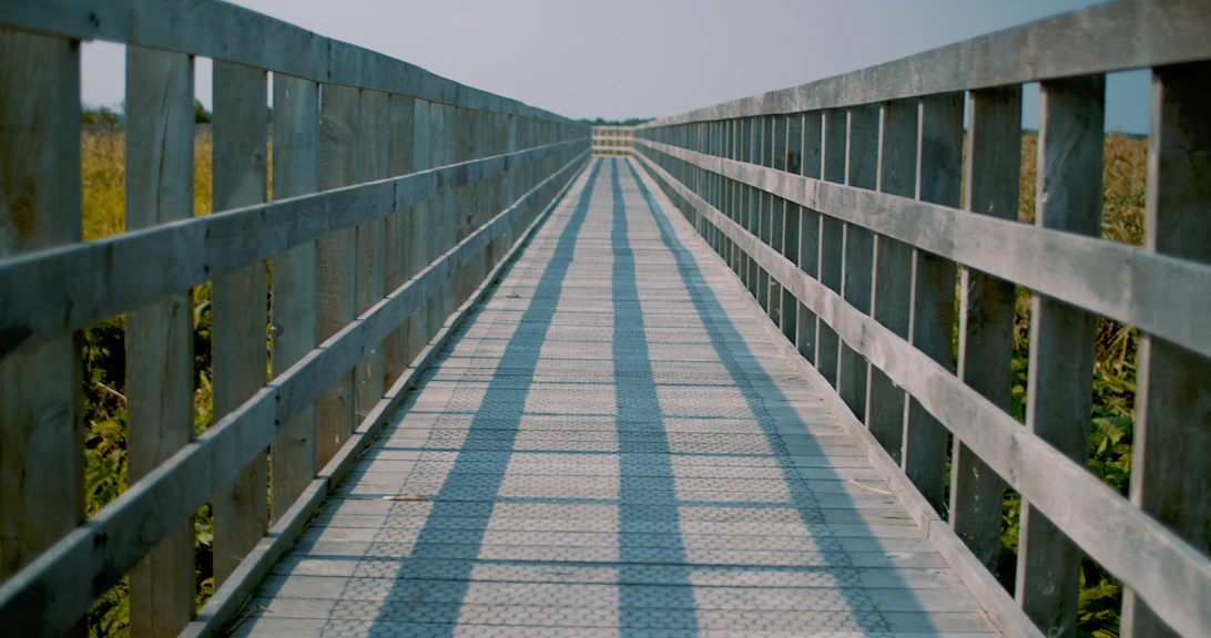 gray concrete bridge under gray sky