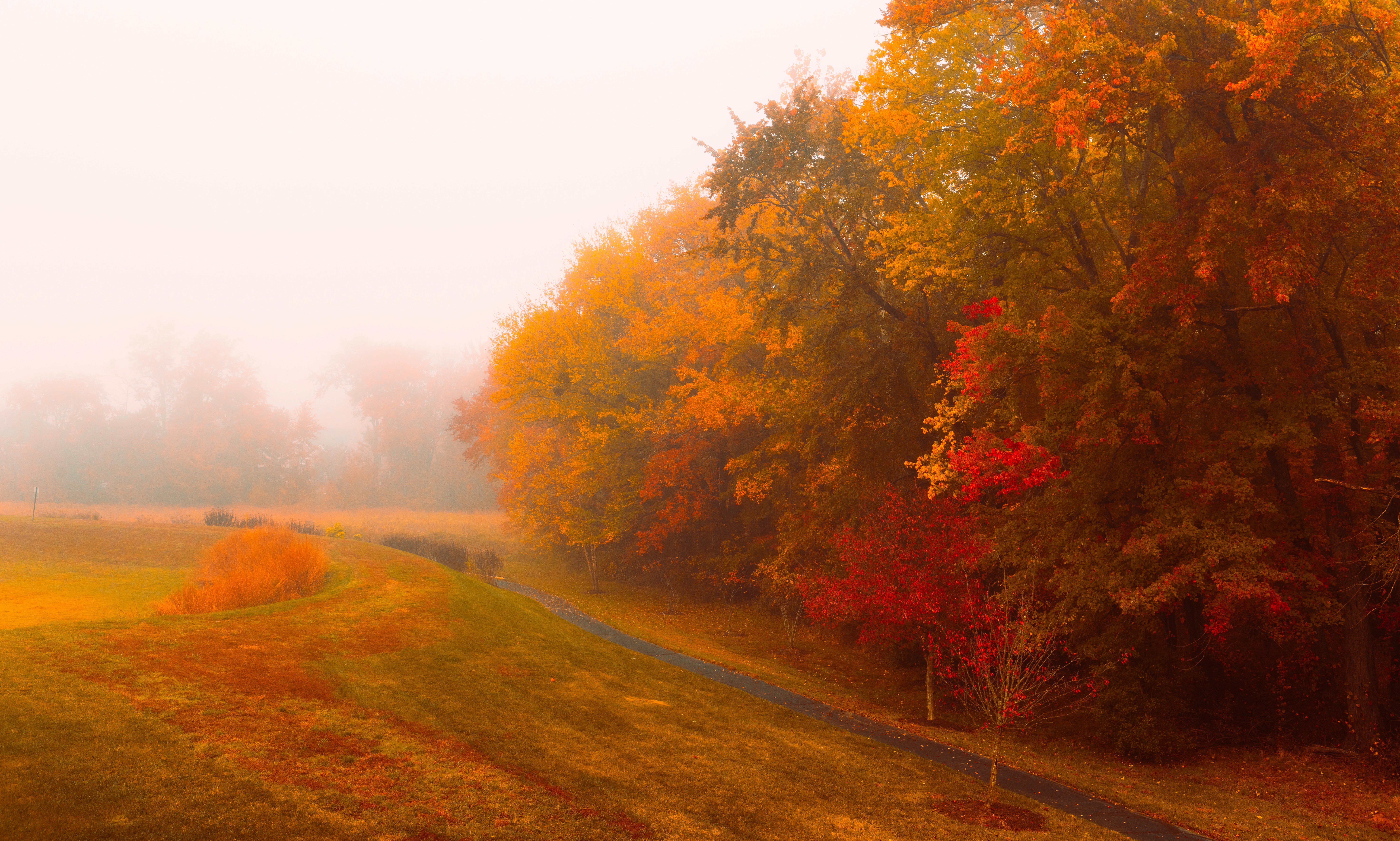 Photo by sriniunsplash