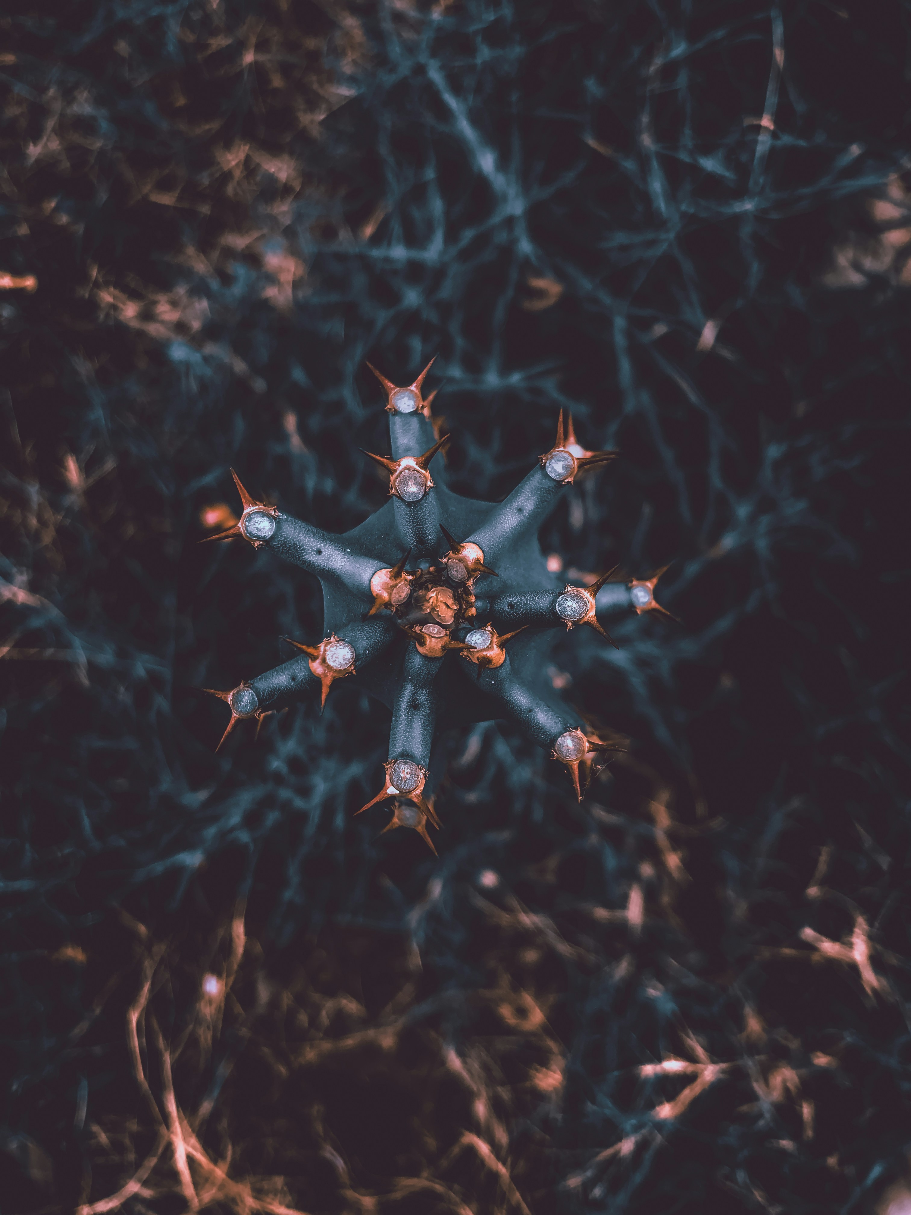 Photo by vvaseemxkhan