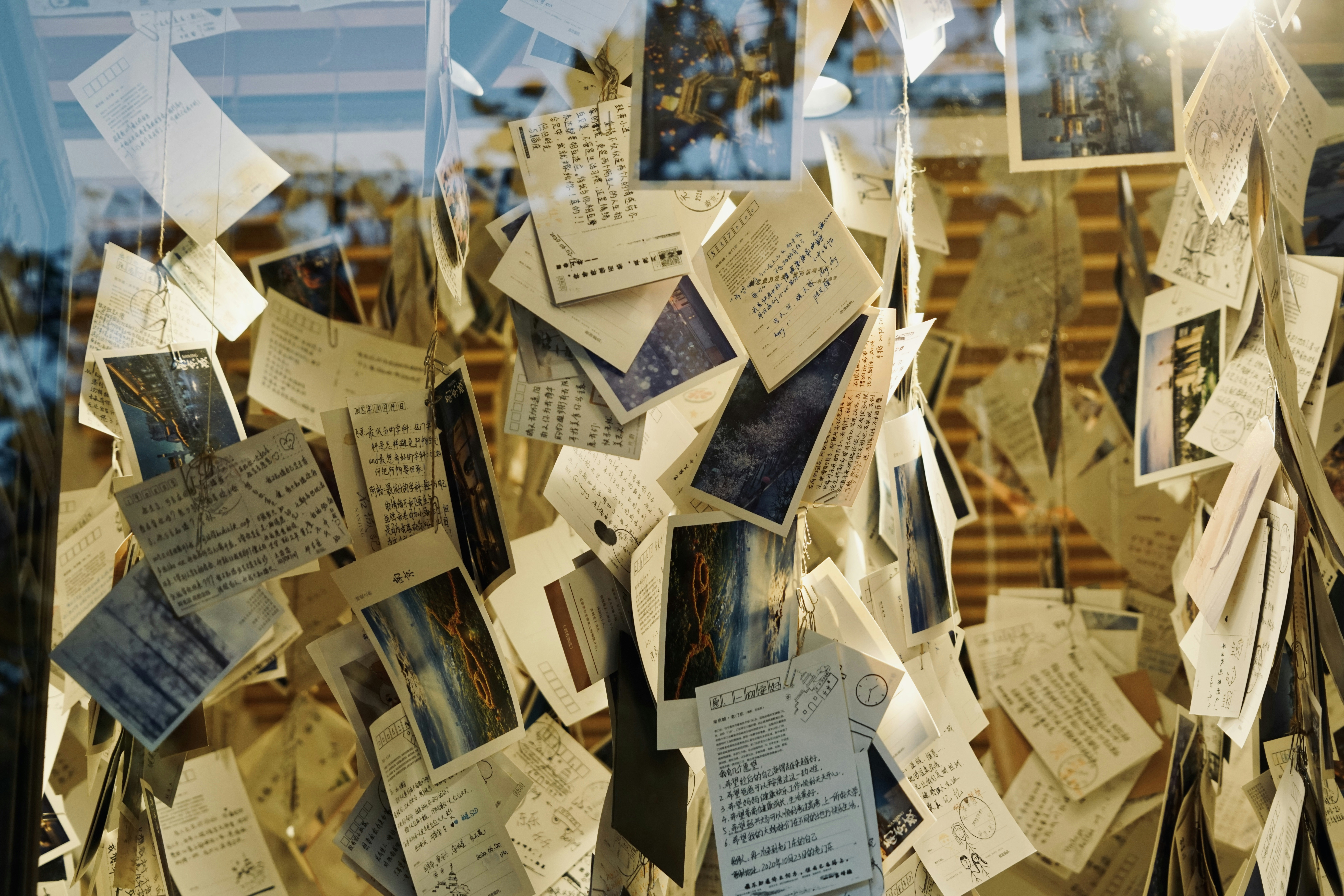 Photo by chris_evans