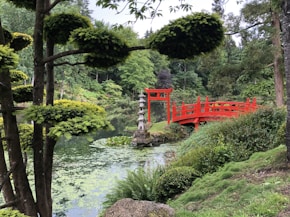 red bridge over river during daytime