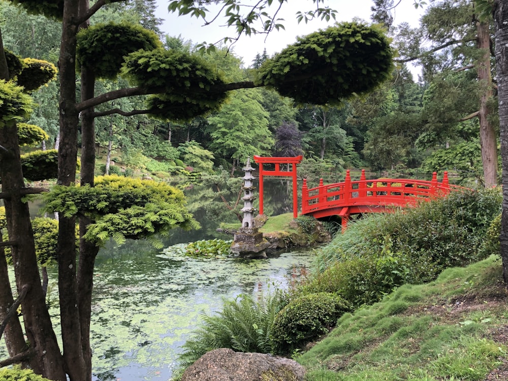 red bridge over river during daytime