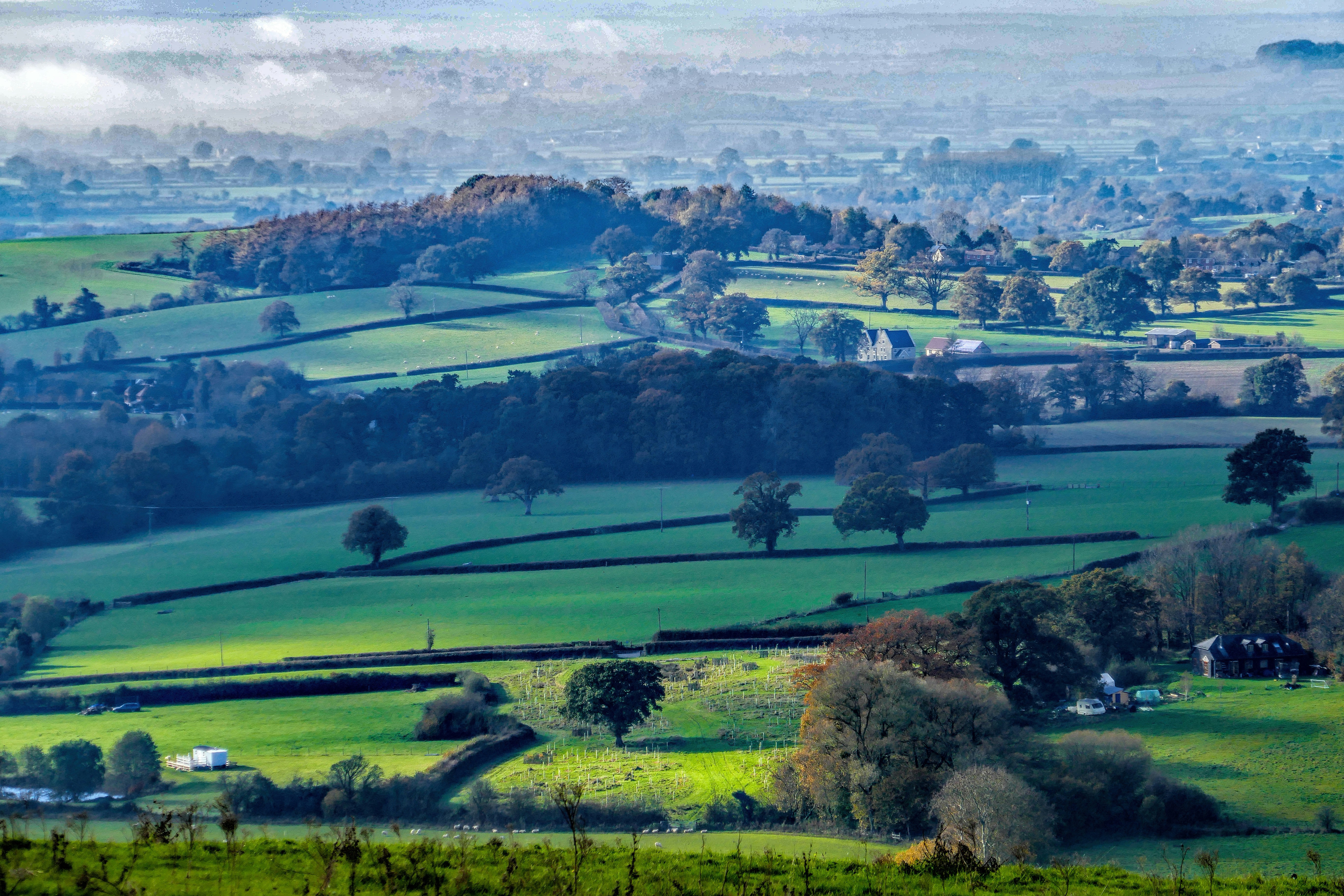 Photo by bacchanalia