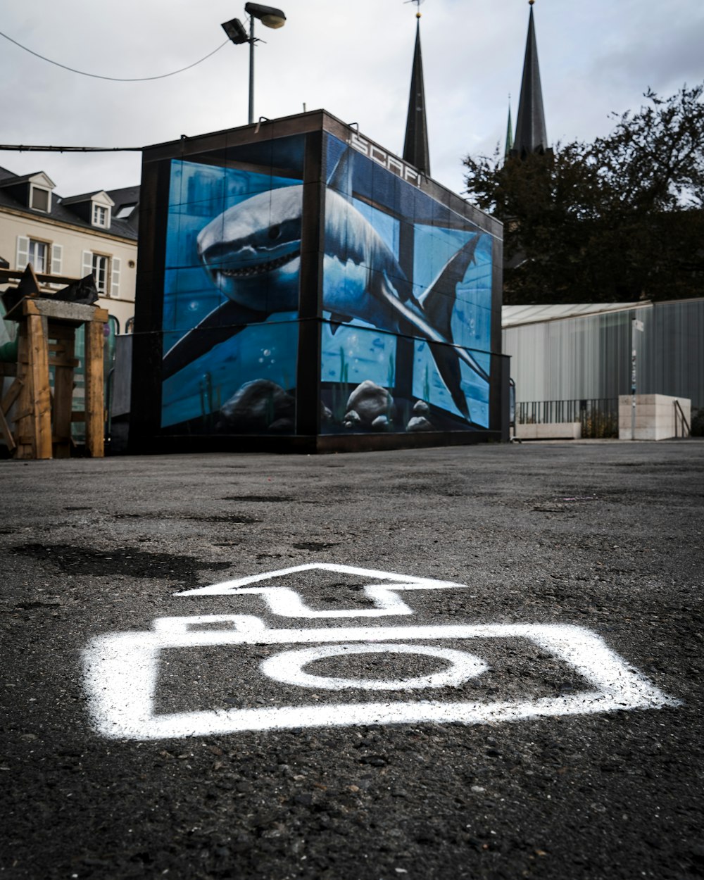 blue and white basketball court