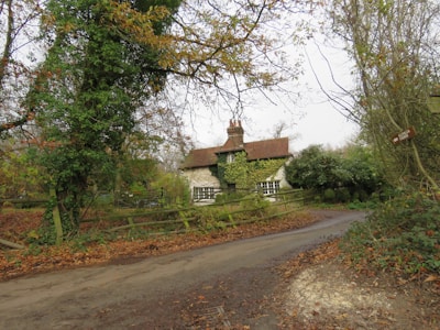 A charming countryside cottage is nestled amongst trees and foliage. The house features a white exterior with a chimney and partially covered in green ivy. An unpaved road leads up to the house, surrounded by wooden fences and scattered autumn leaves. Branches with brownish-yellow leaves hang overhead, creating a serene and rustic atmosphere.