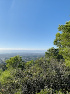 Wide shot of a cleared land parcel with distant ocean views under a bright sky.
