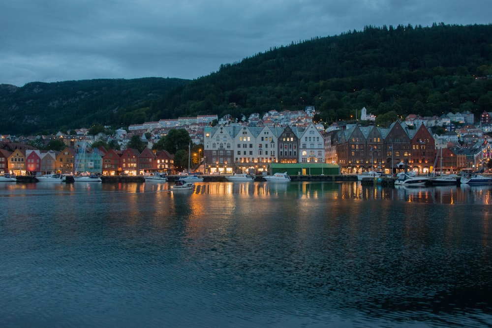 white and green building near body of water during night time