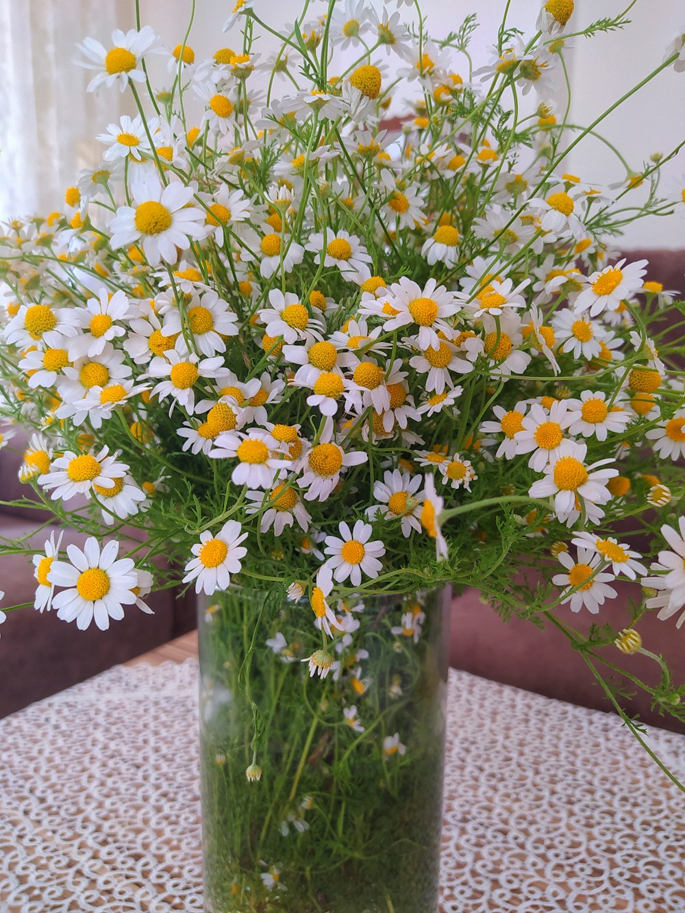 white and yellow flowers in clear glass vase