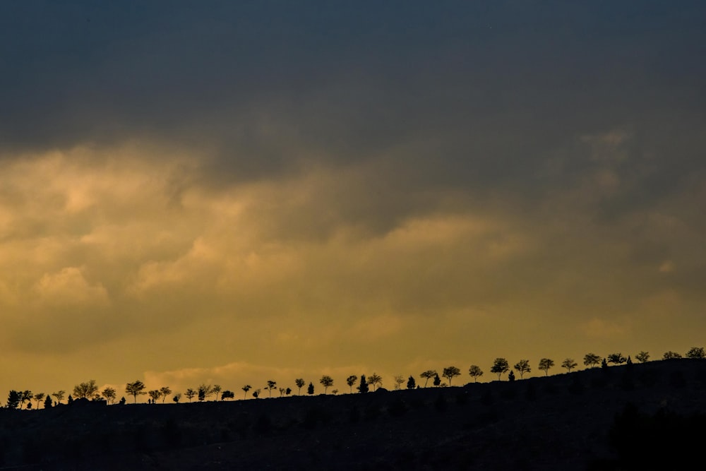 silhouette of trees under cloudy sky during sunset