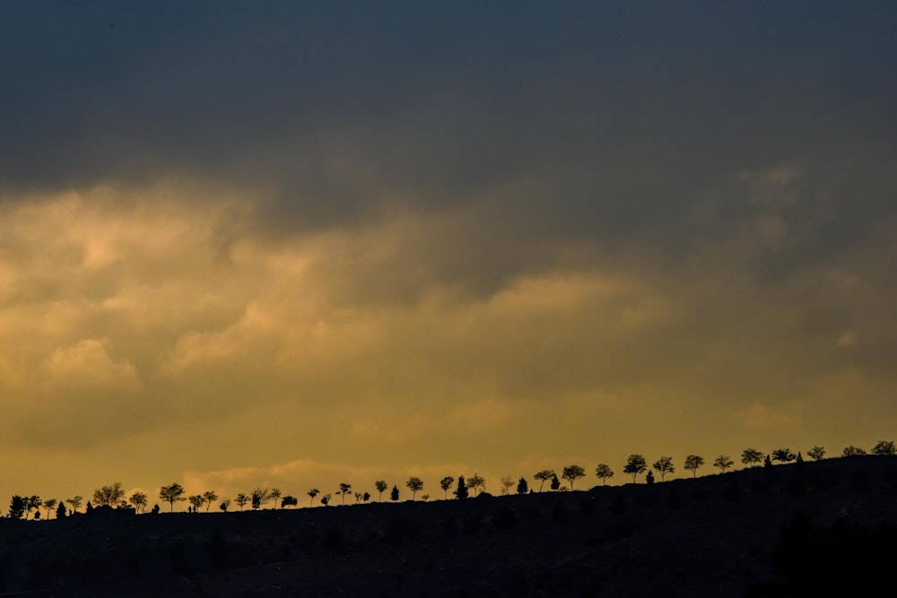 silhouette d’arbres sous un ciel nuageux au coucher du soleil
