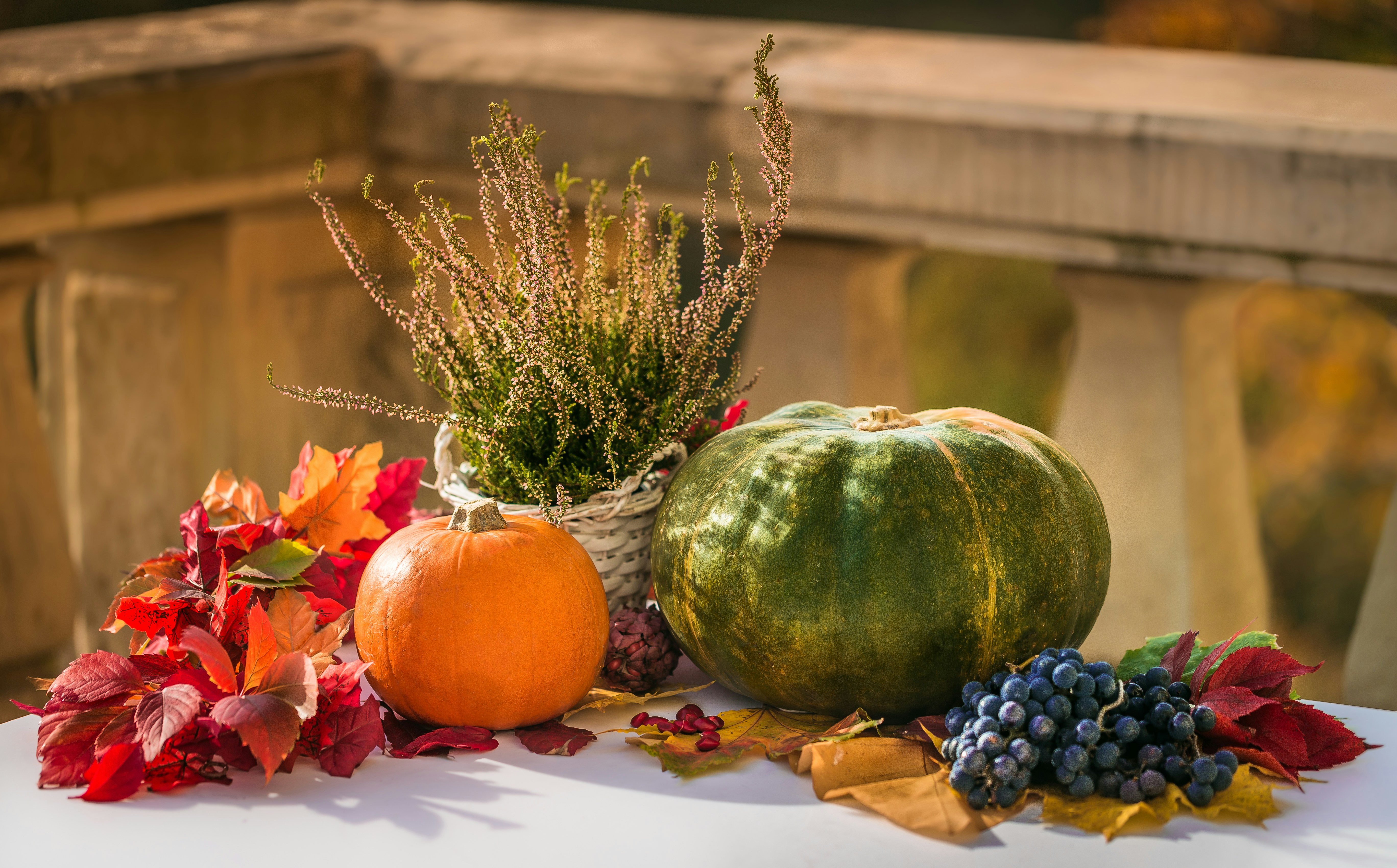 green and orange pumpkin on white and brown textile