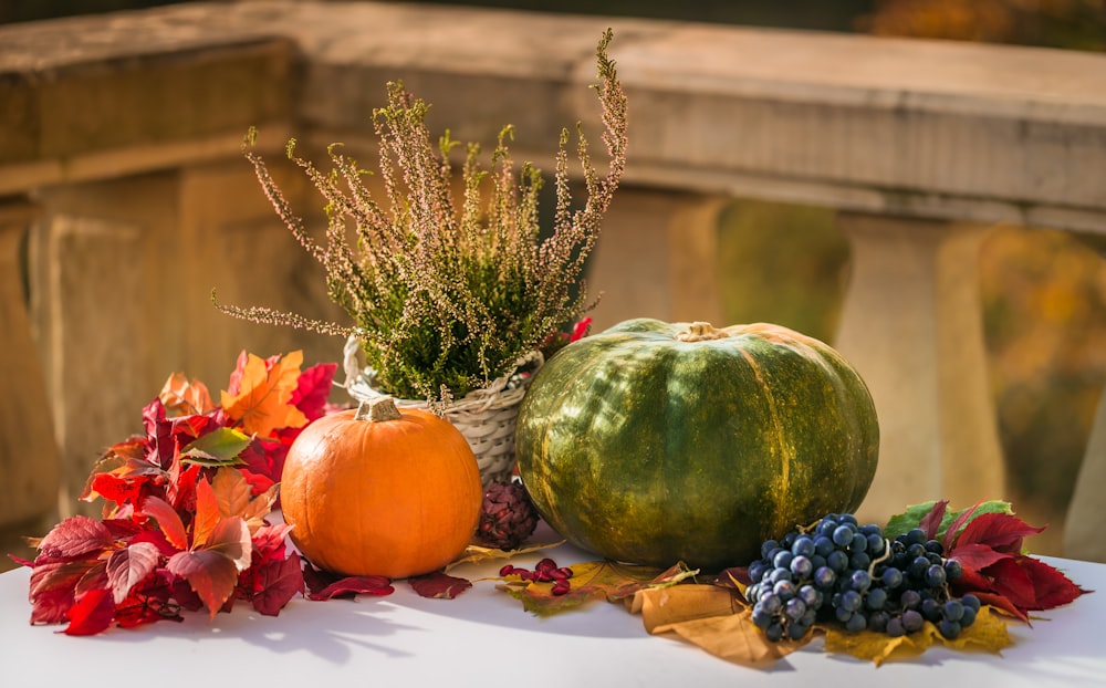 green and orange pumpkin on white and brown textile