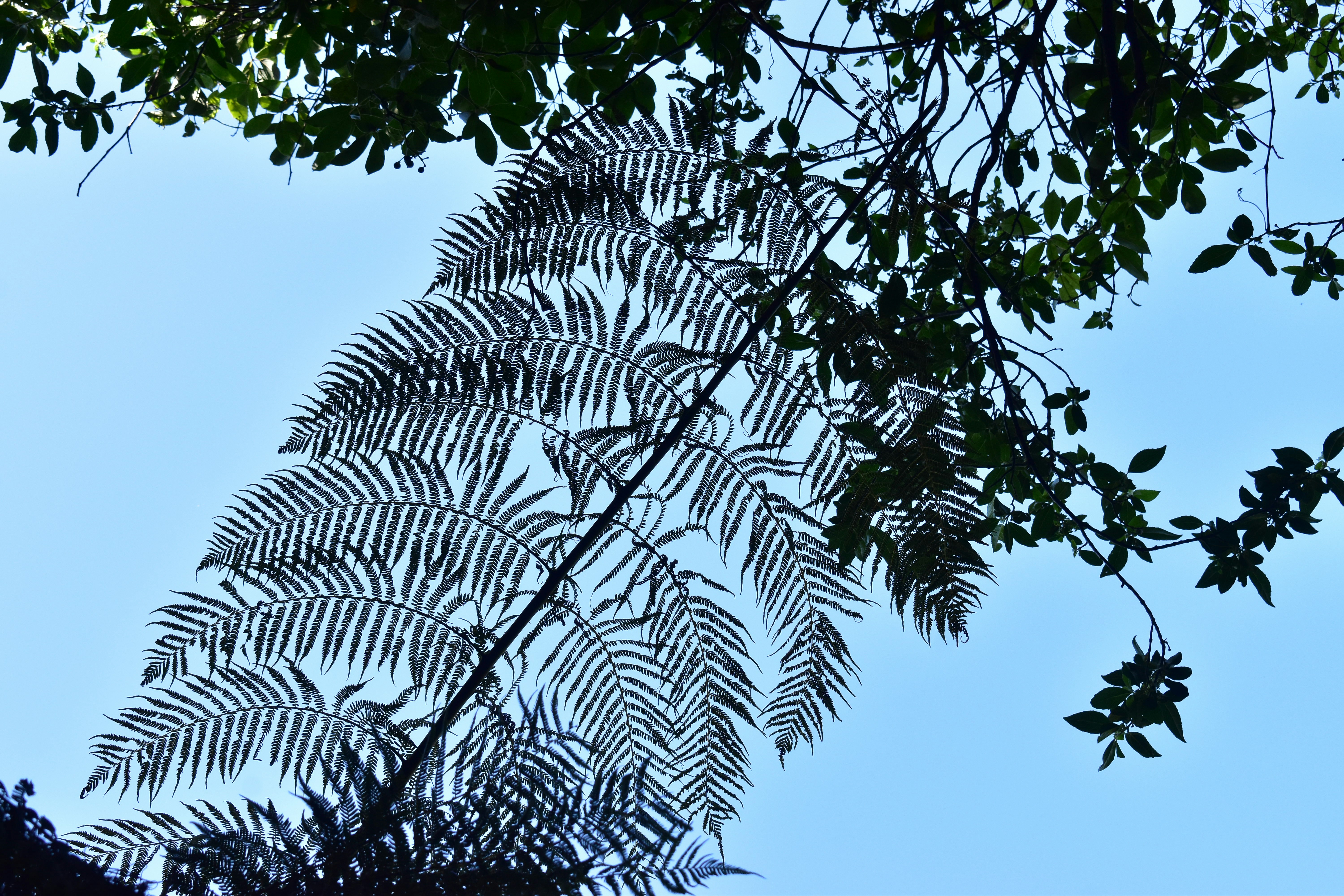 Blue Mountains National Park photo 3