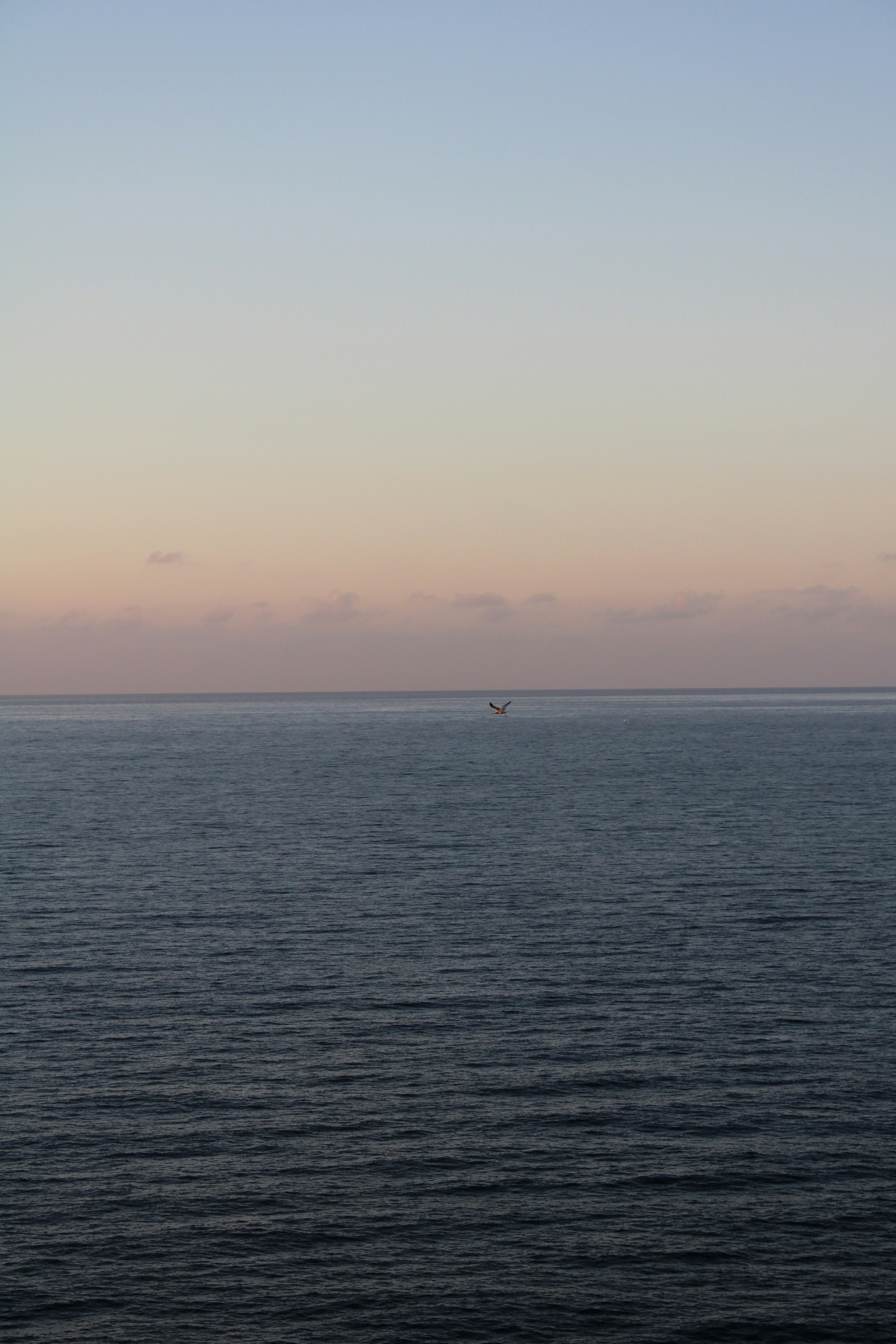 Photo by anatomescu92