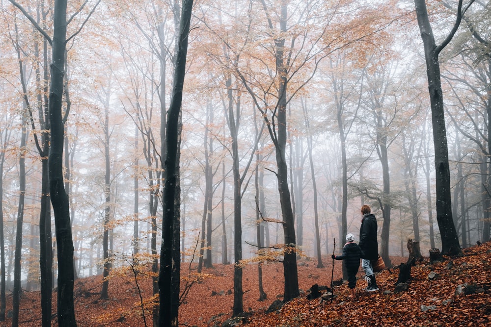 man in gray jacket standing near bare trees during daytime