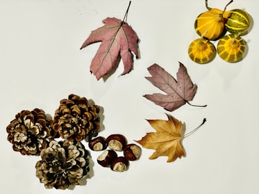 A collection of seasonal art pieces.