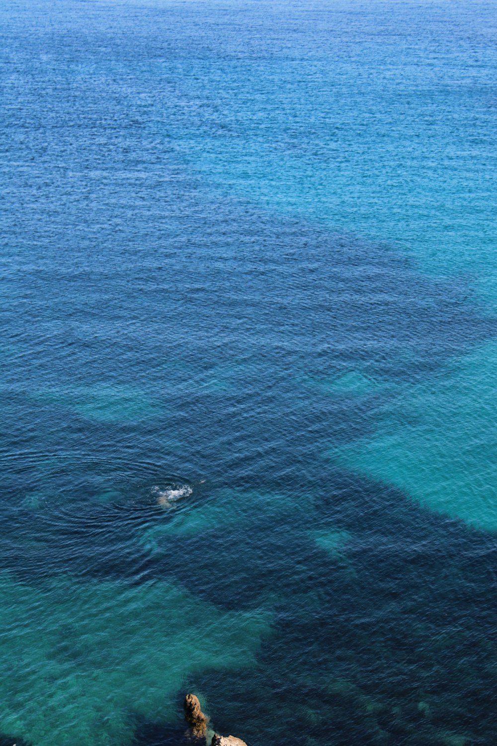 aerial view of body of water during daytime