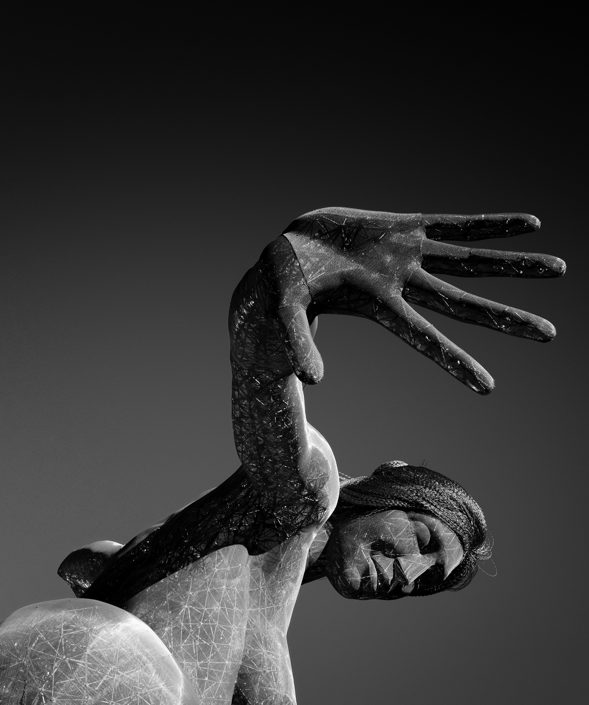 Photo by evanffitzer