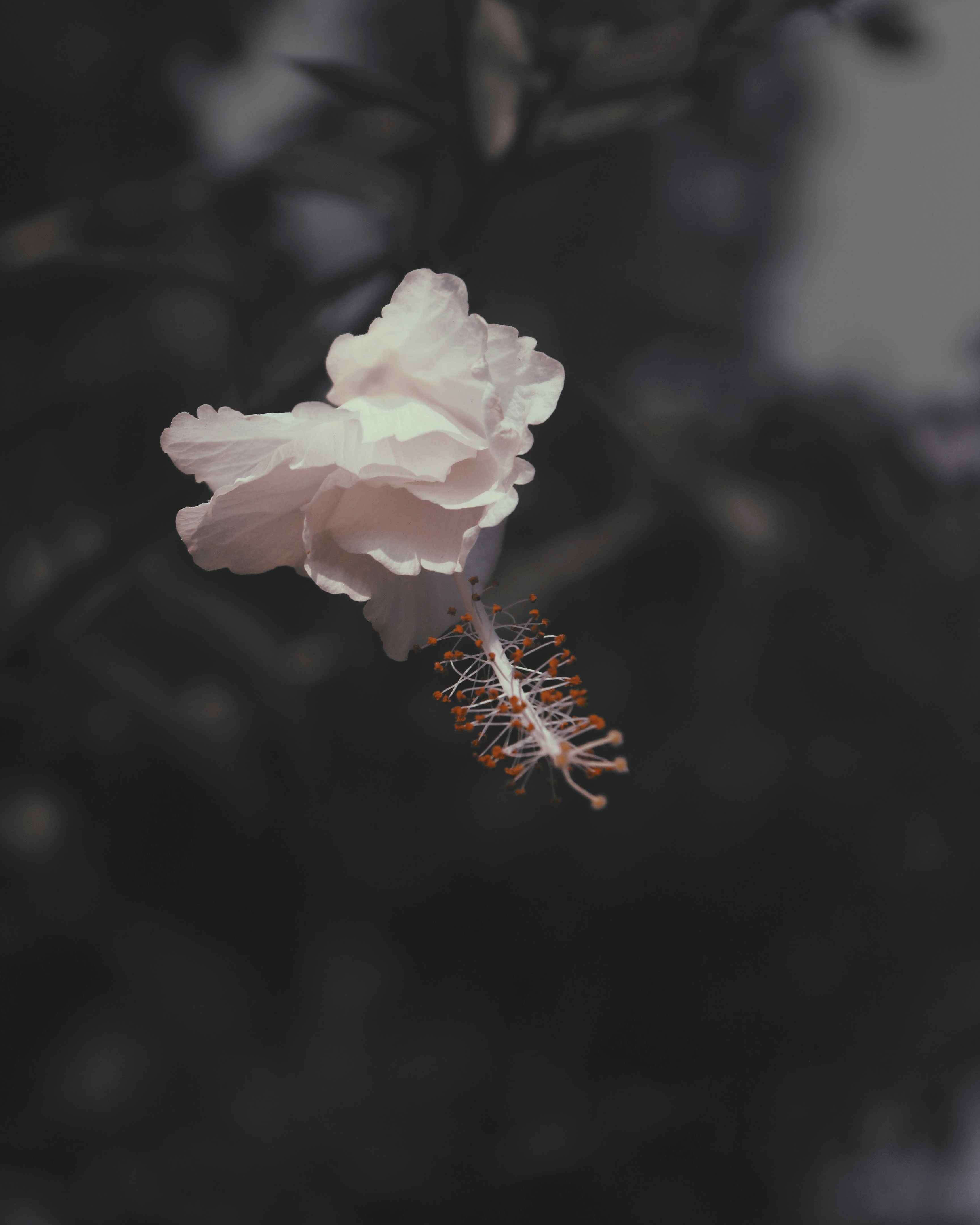 Photo by sincegameon