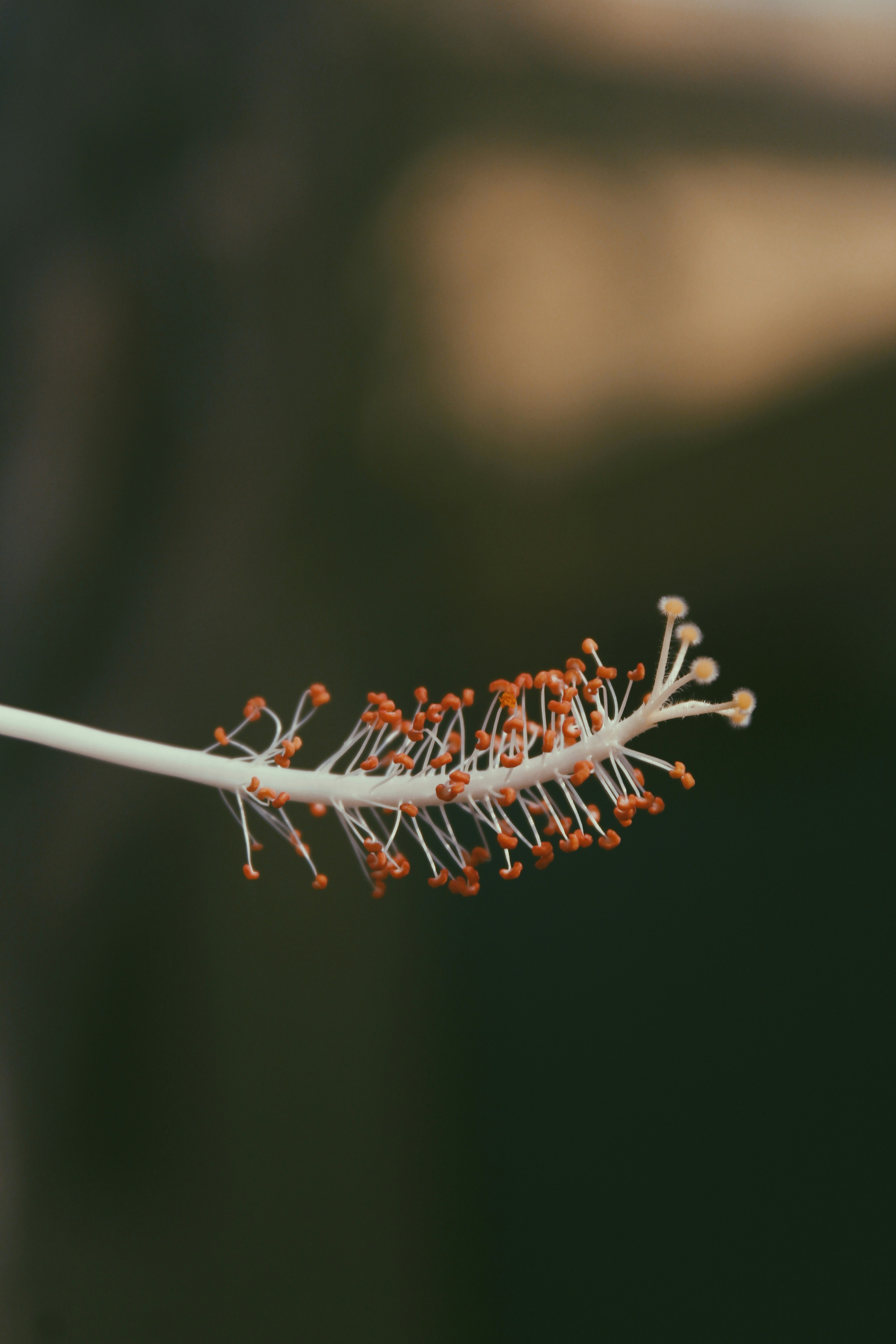 Photo by sincegameon