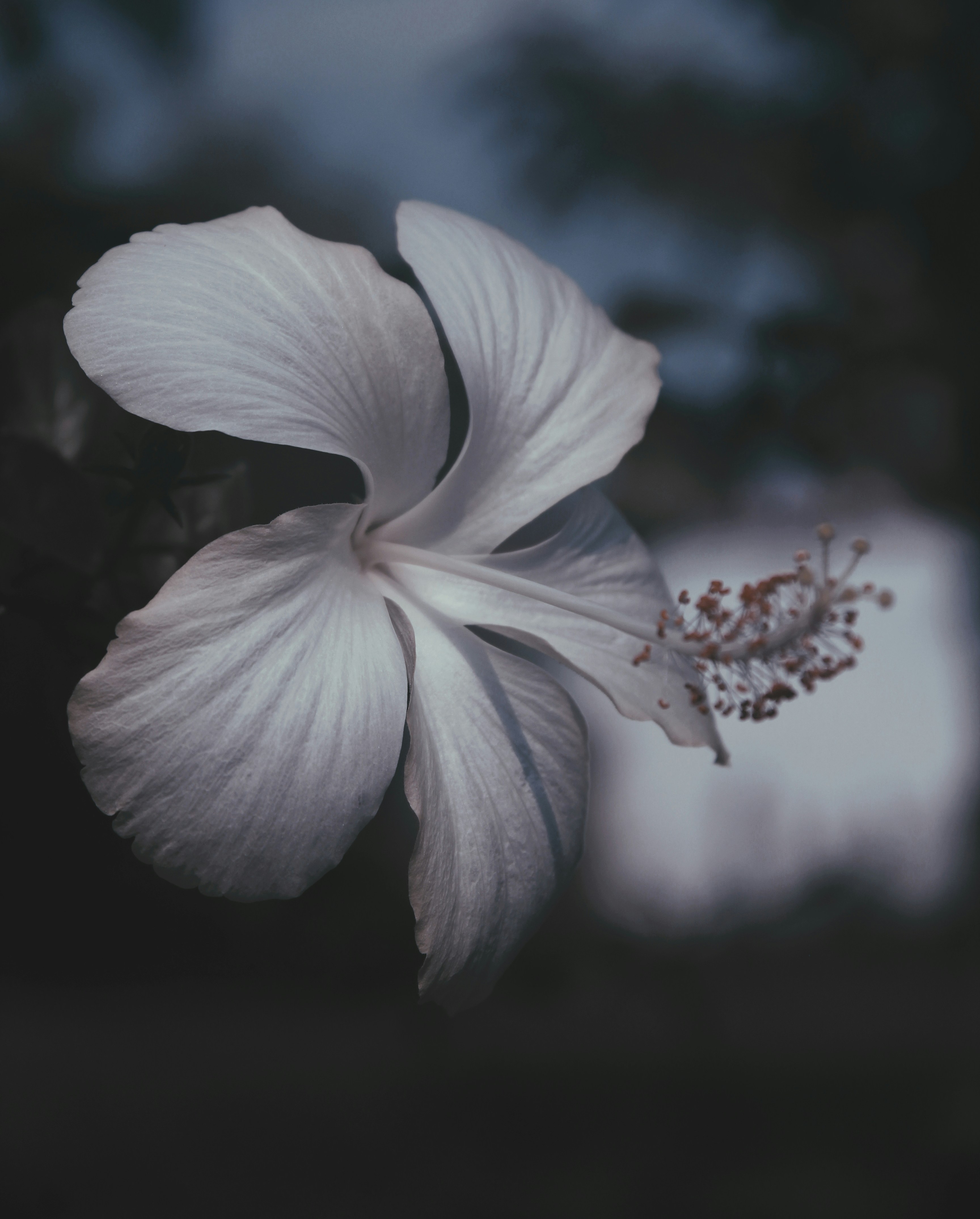 Photo by sincegameon