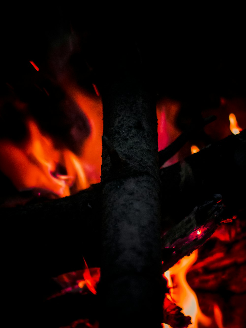 burning wood during night time