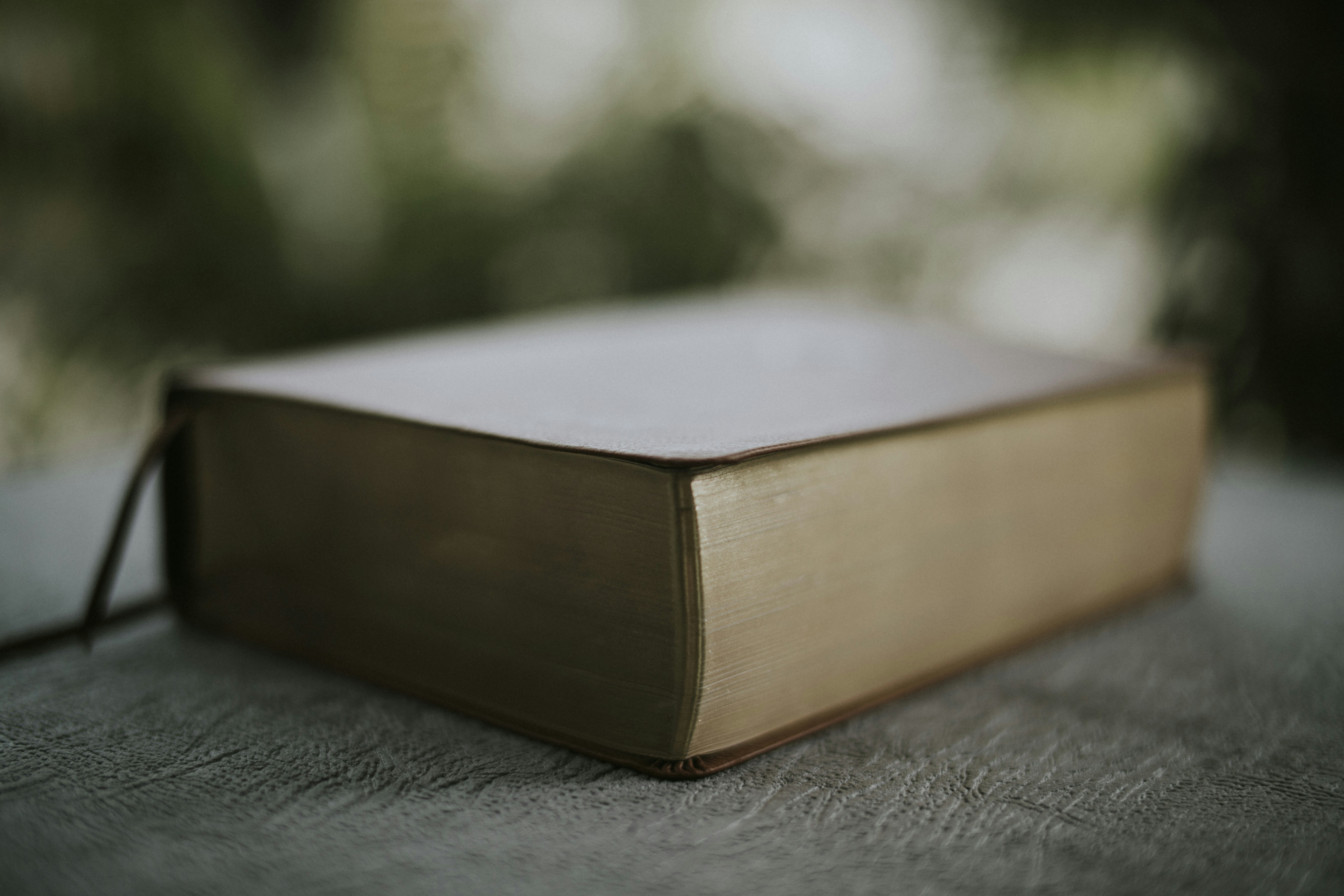 photo-1605889762739-0c116085776d?ixid=M3wxMjA3fDB8MXxzZWFyY2h8MTF8fGNvbnRpbnVlfGVufDB8fHx8MTcyOTU1MjAwOXww\u0026ixlib=rb-4.0.3