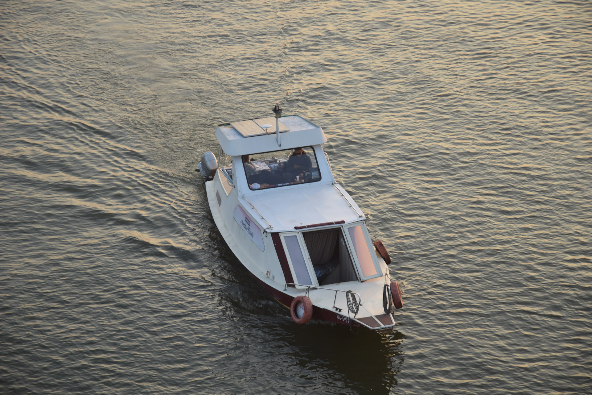 A licensed local Goan captain steering a small boat through calm waters with dolphins swimming alongside.