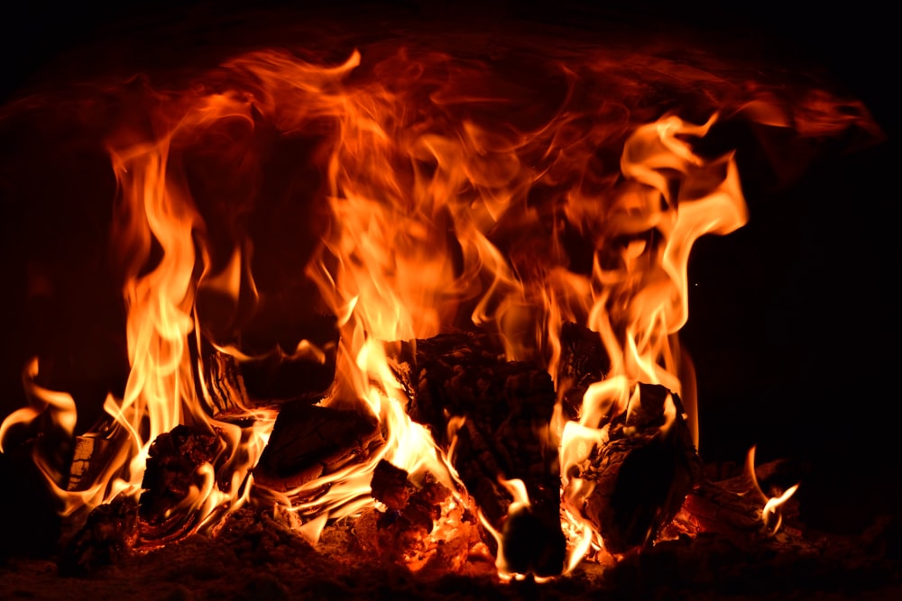 burning wood in close up photography
