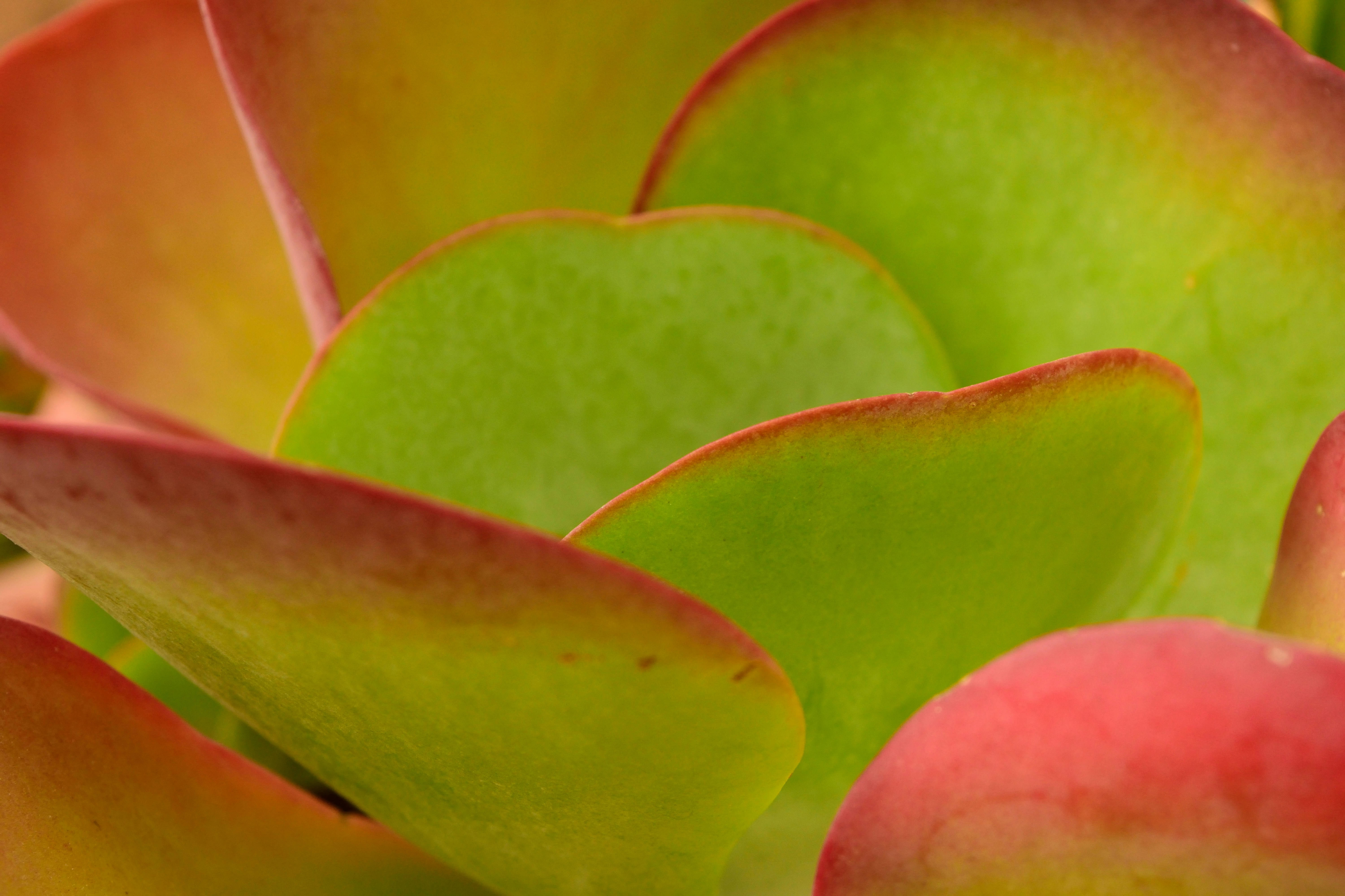 Best Travel Spots for Your Soft Life Era — No Rushing, Just Vibes