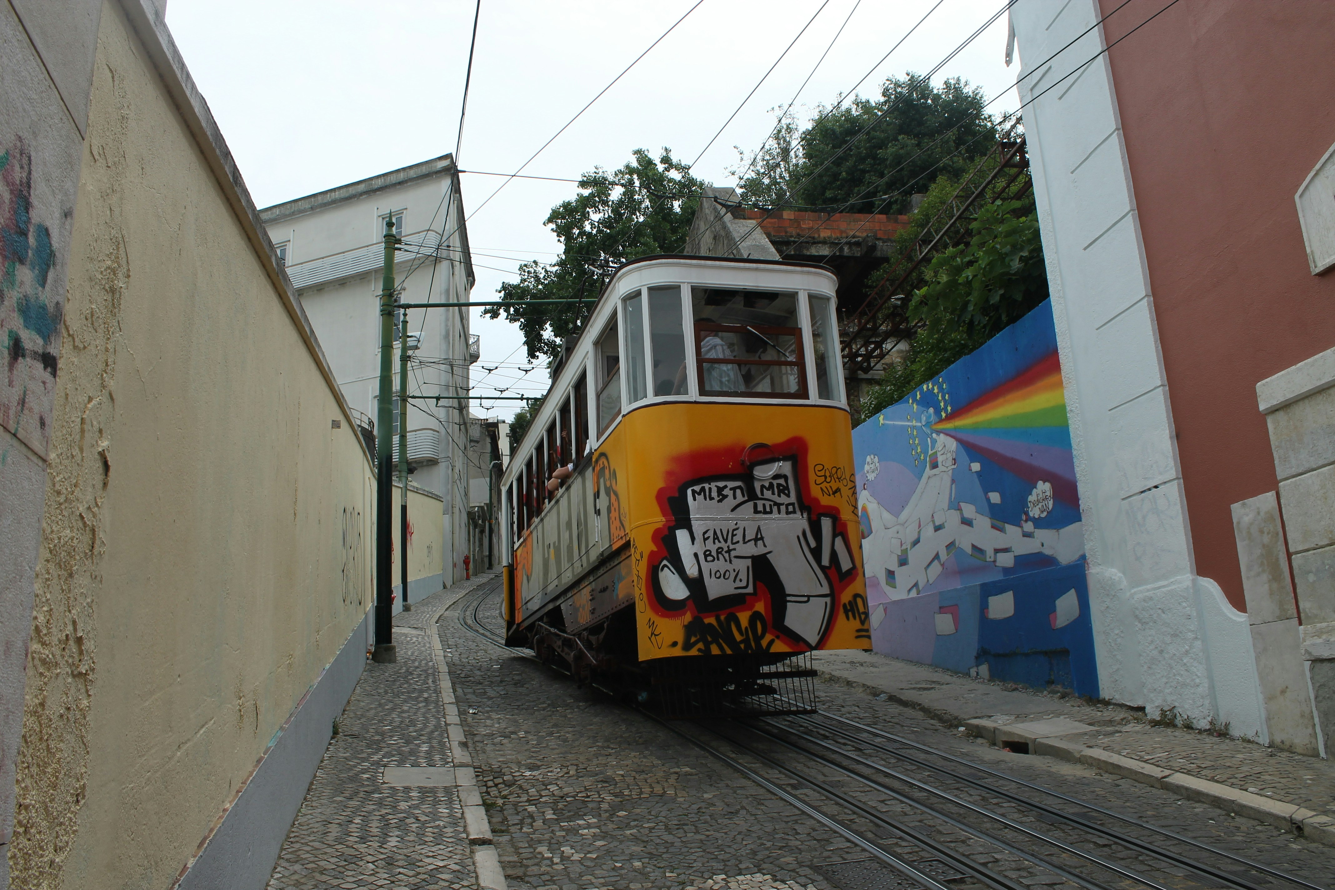 yellow and blue train on rail tracks