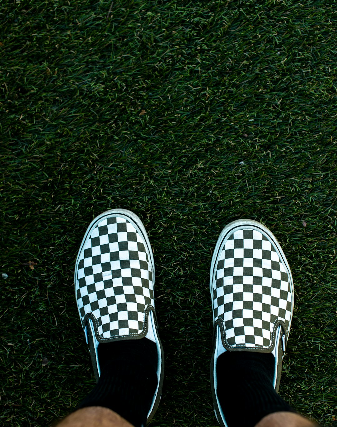 person wearing white and black checkered slip on shoes