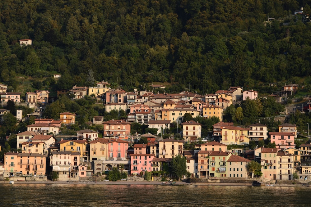 edifici in cemento marrone e bianco vicino ad alberi verdi durante il giorno