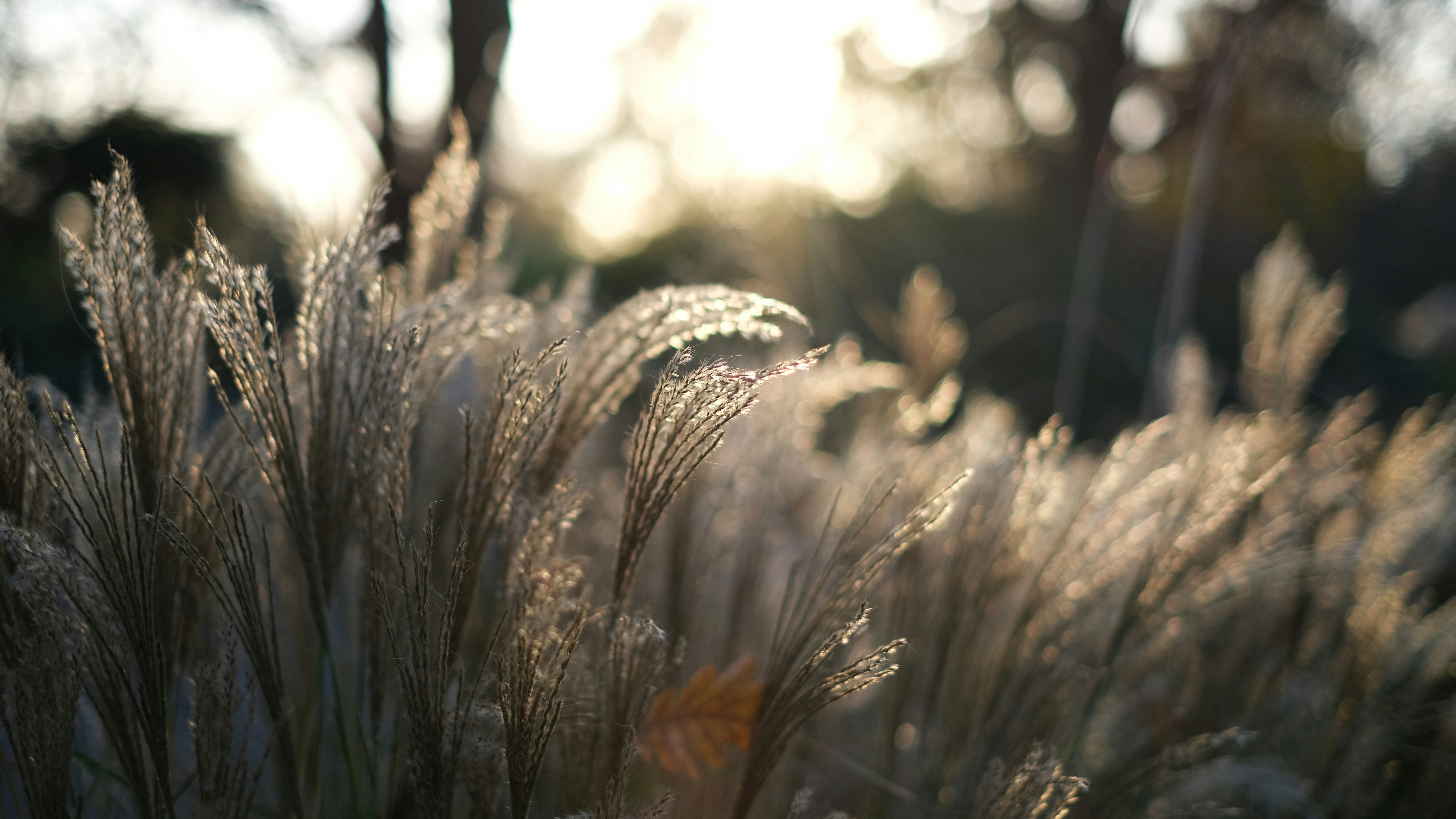 Photo by herrherrmann