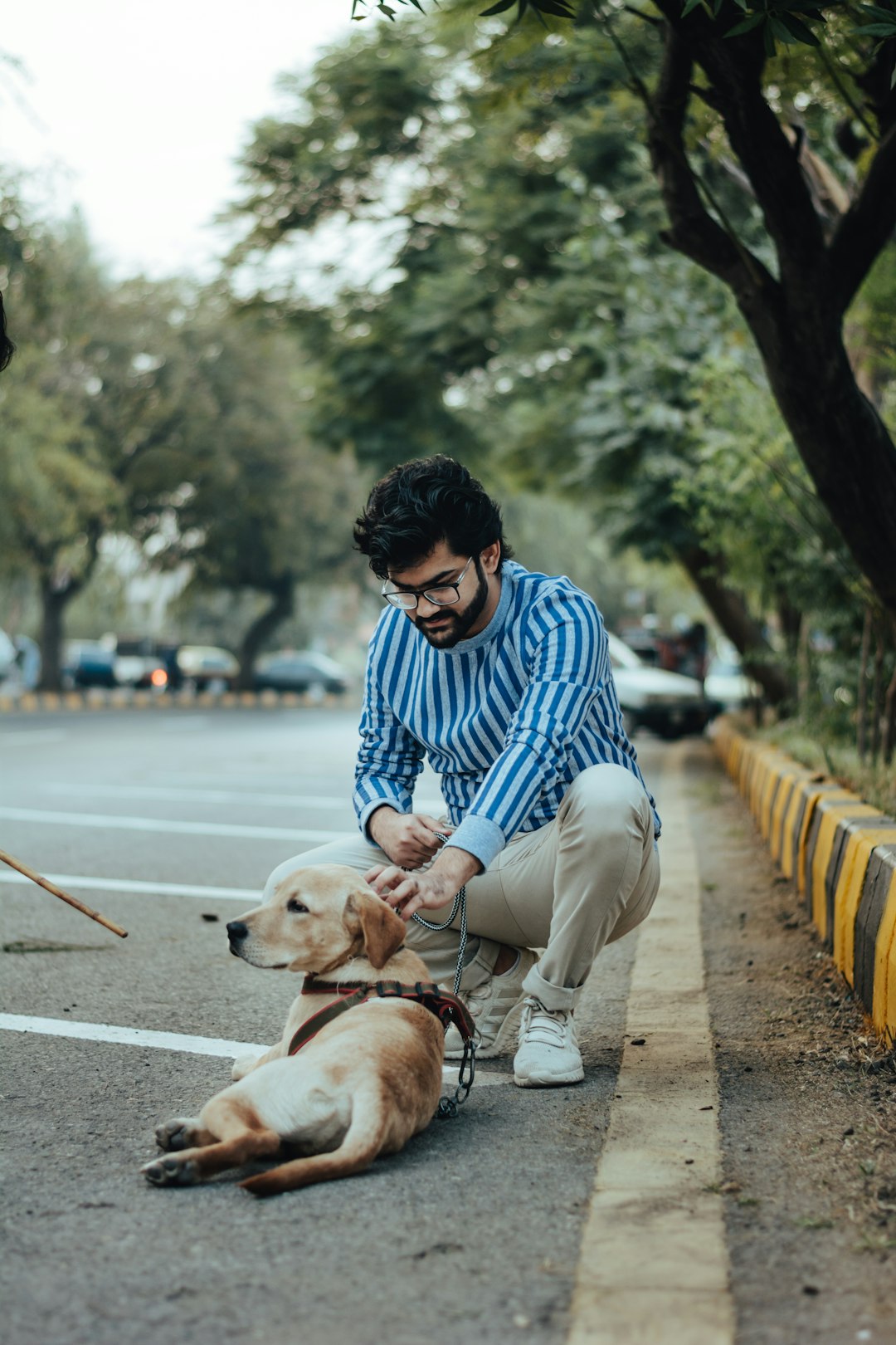 man in blue and white plaid dress shirt and white pants sitting on brown wooden bench