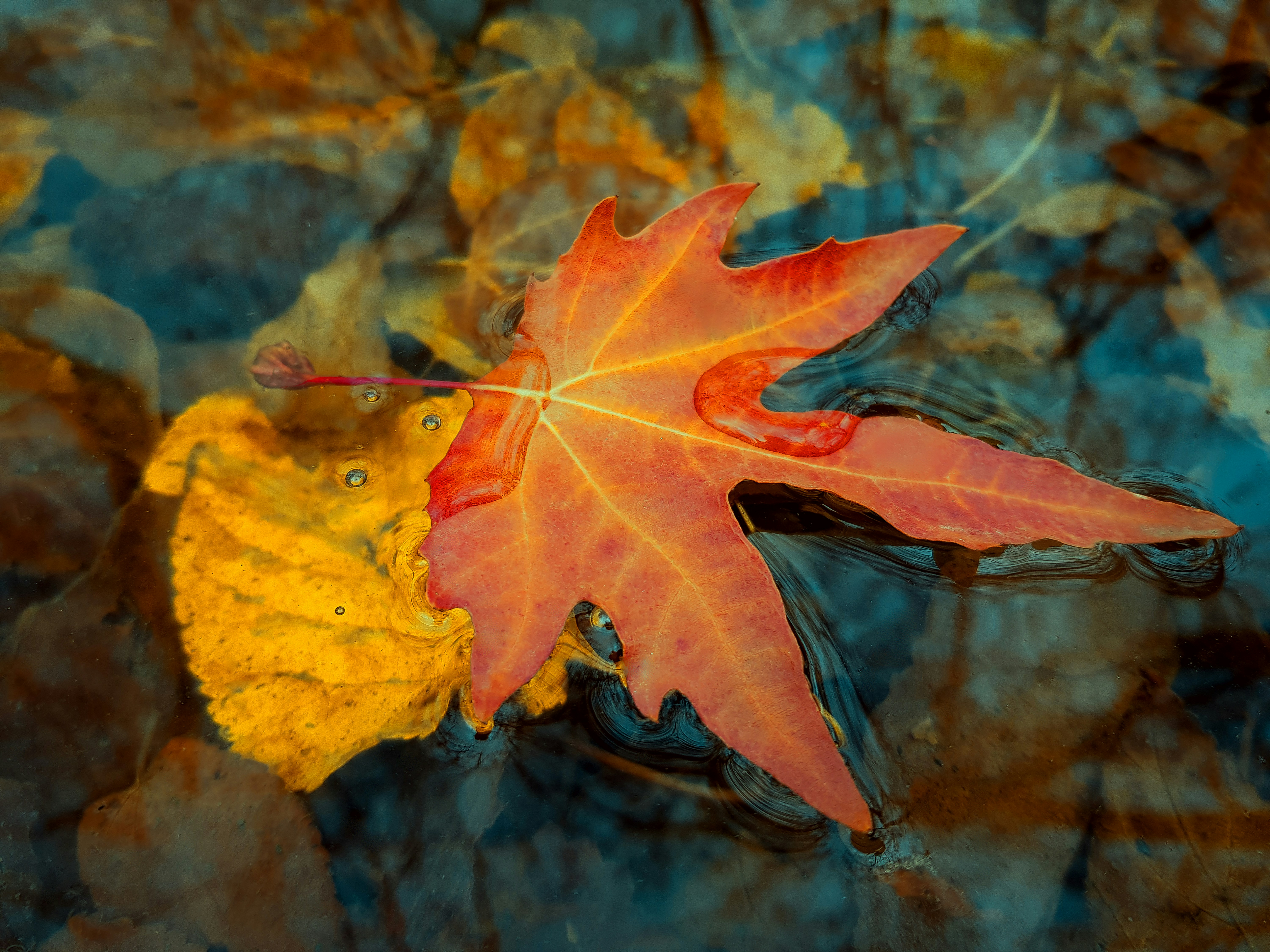 Photo by imanhoseinzadeh_