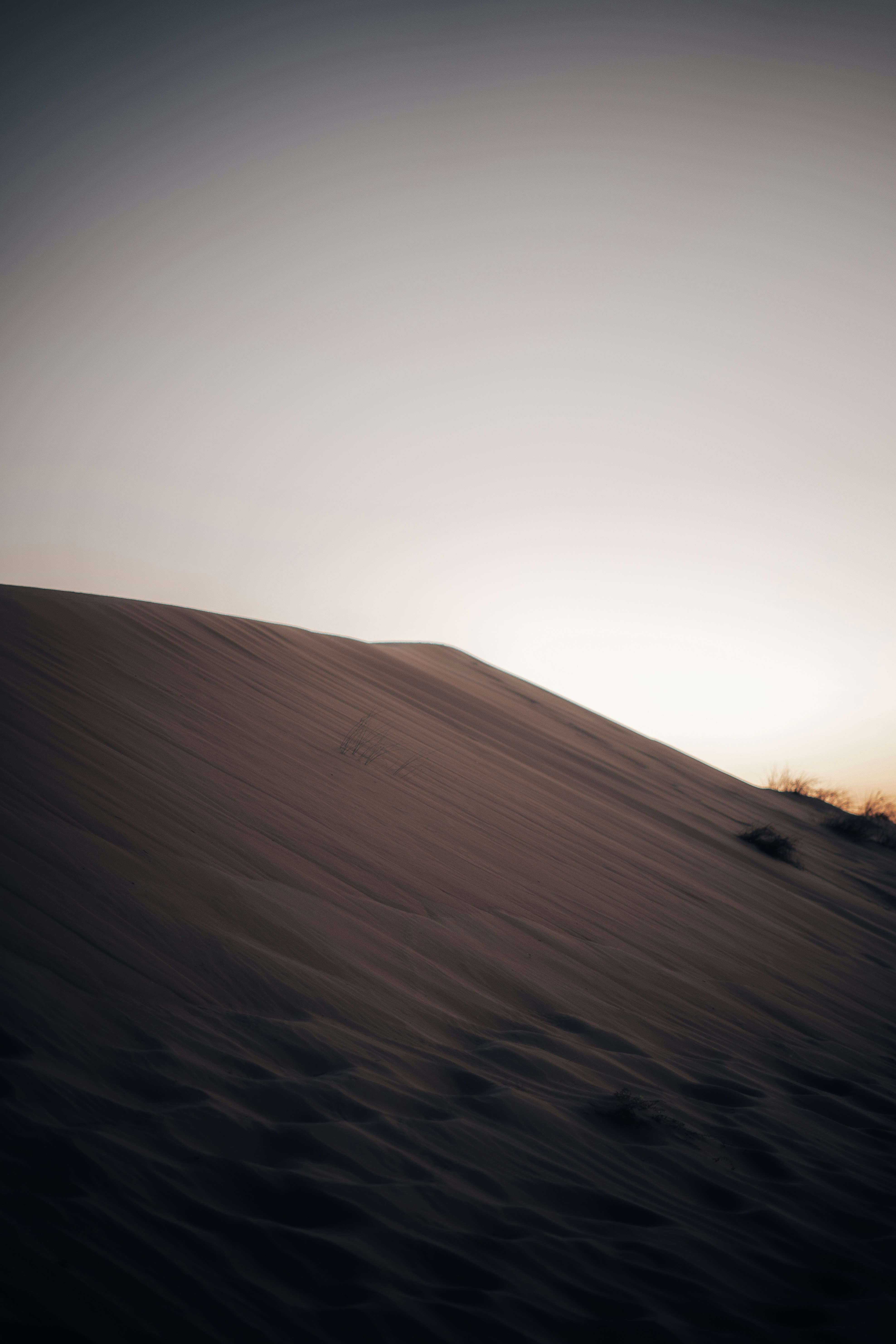 Photo by itadakidesu