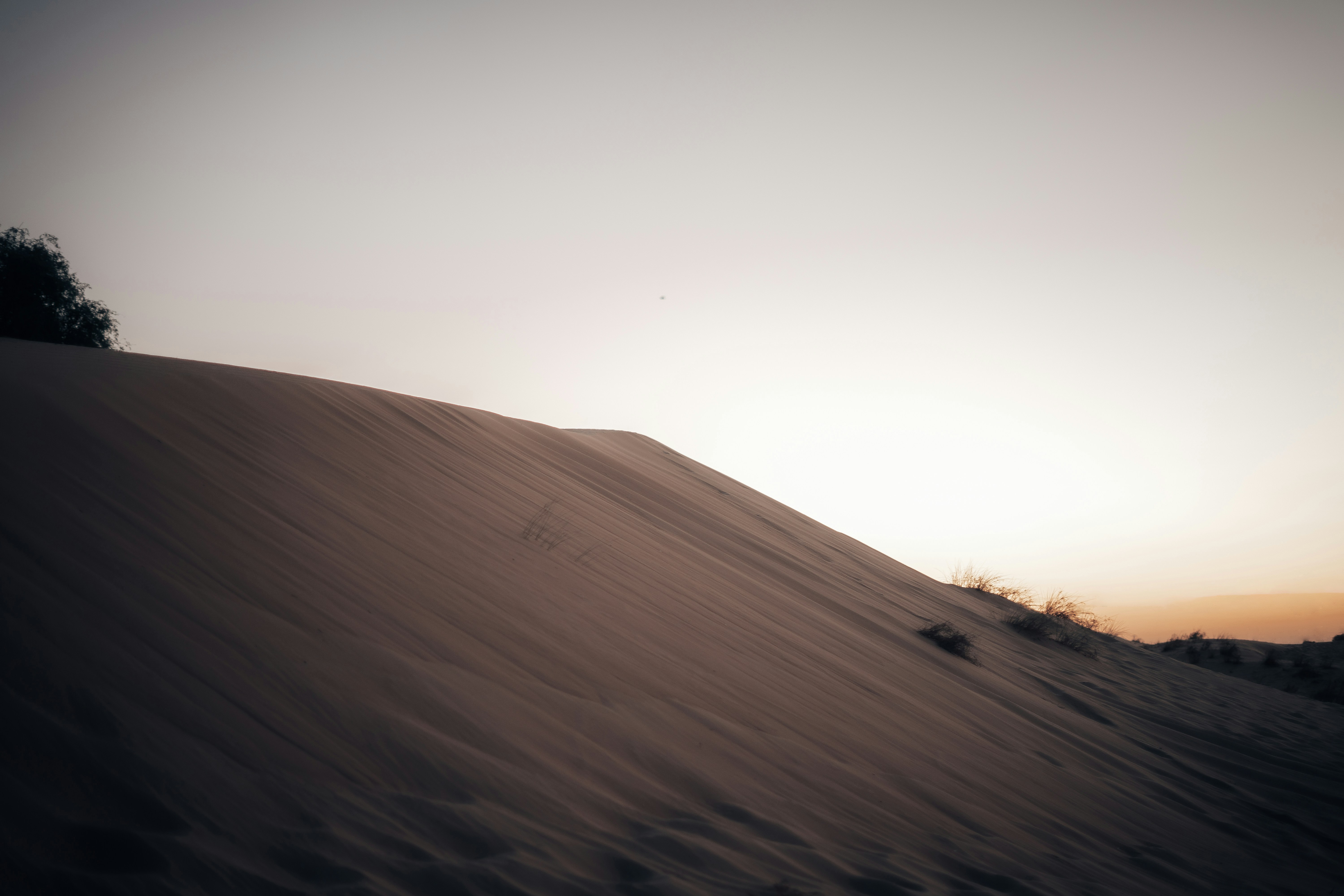 Photo by itadakidesu