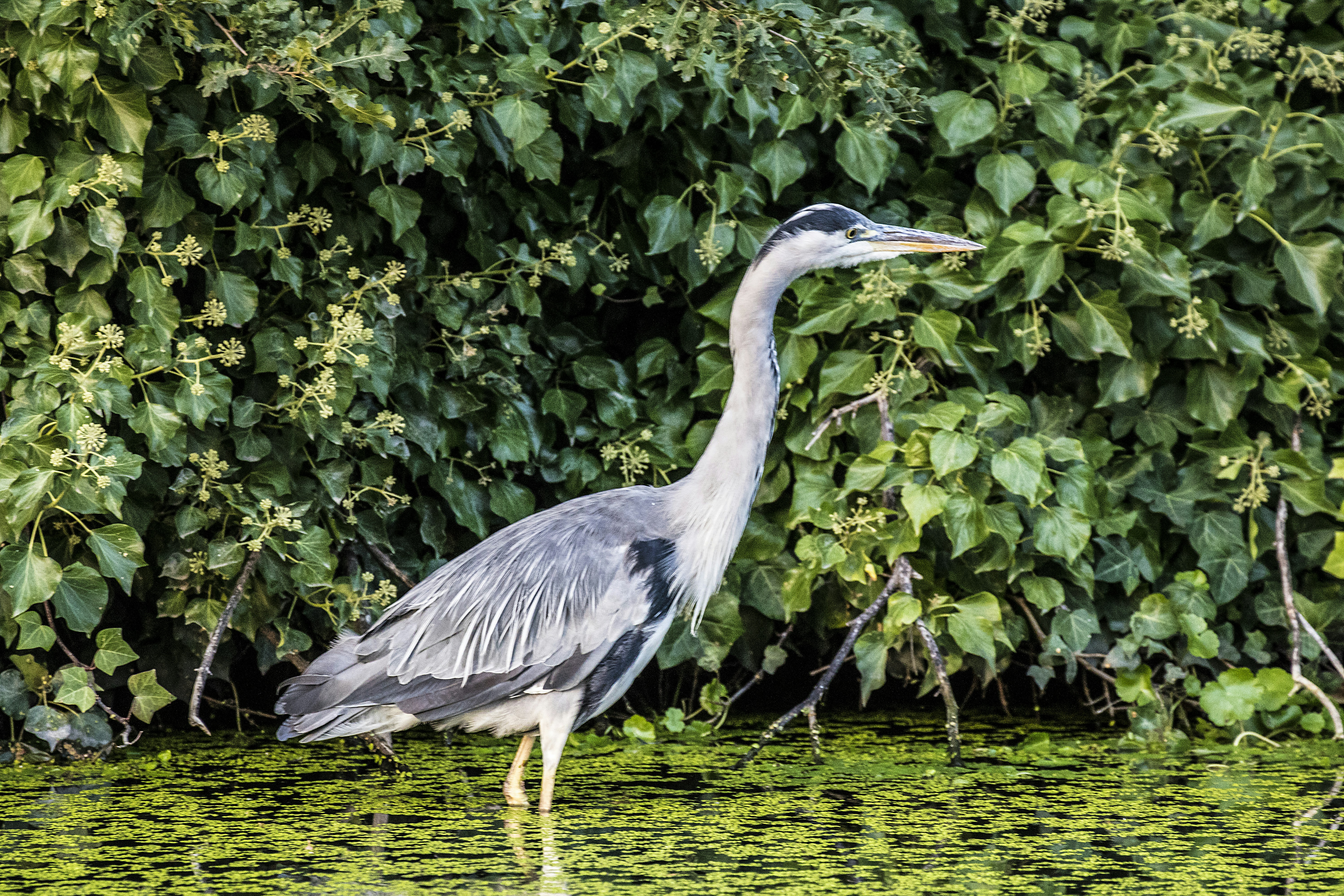 Photo by peterm4988372