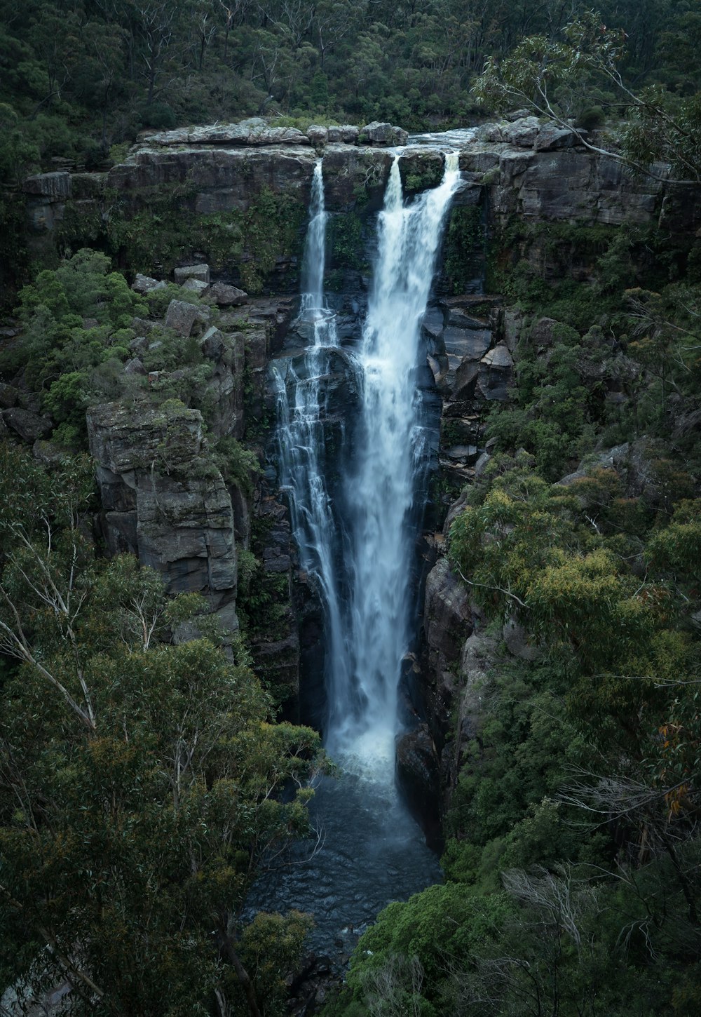 waterfalls in the middle of the forest