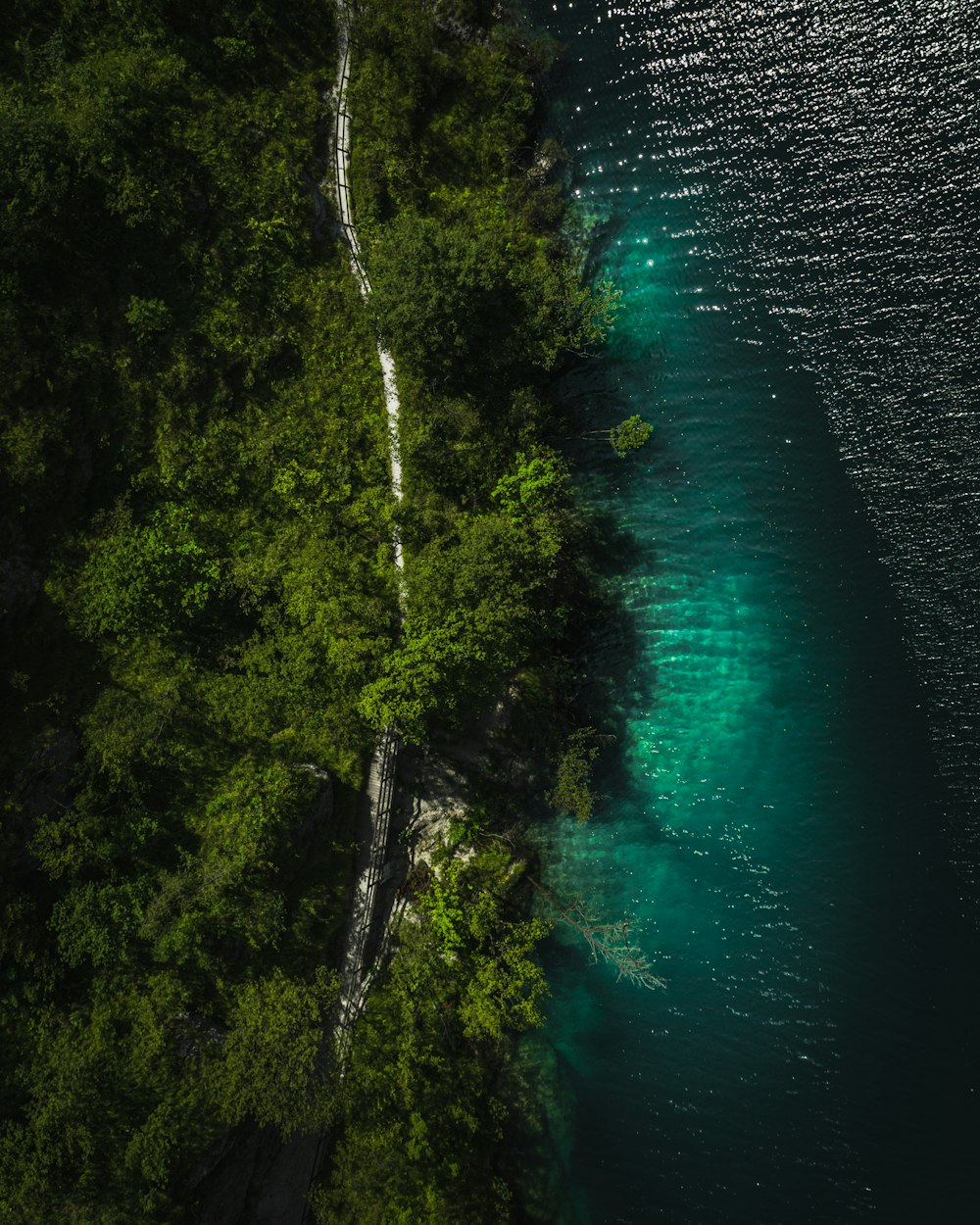 green body of water near green trees during daytime