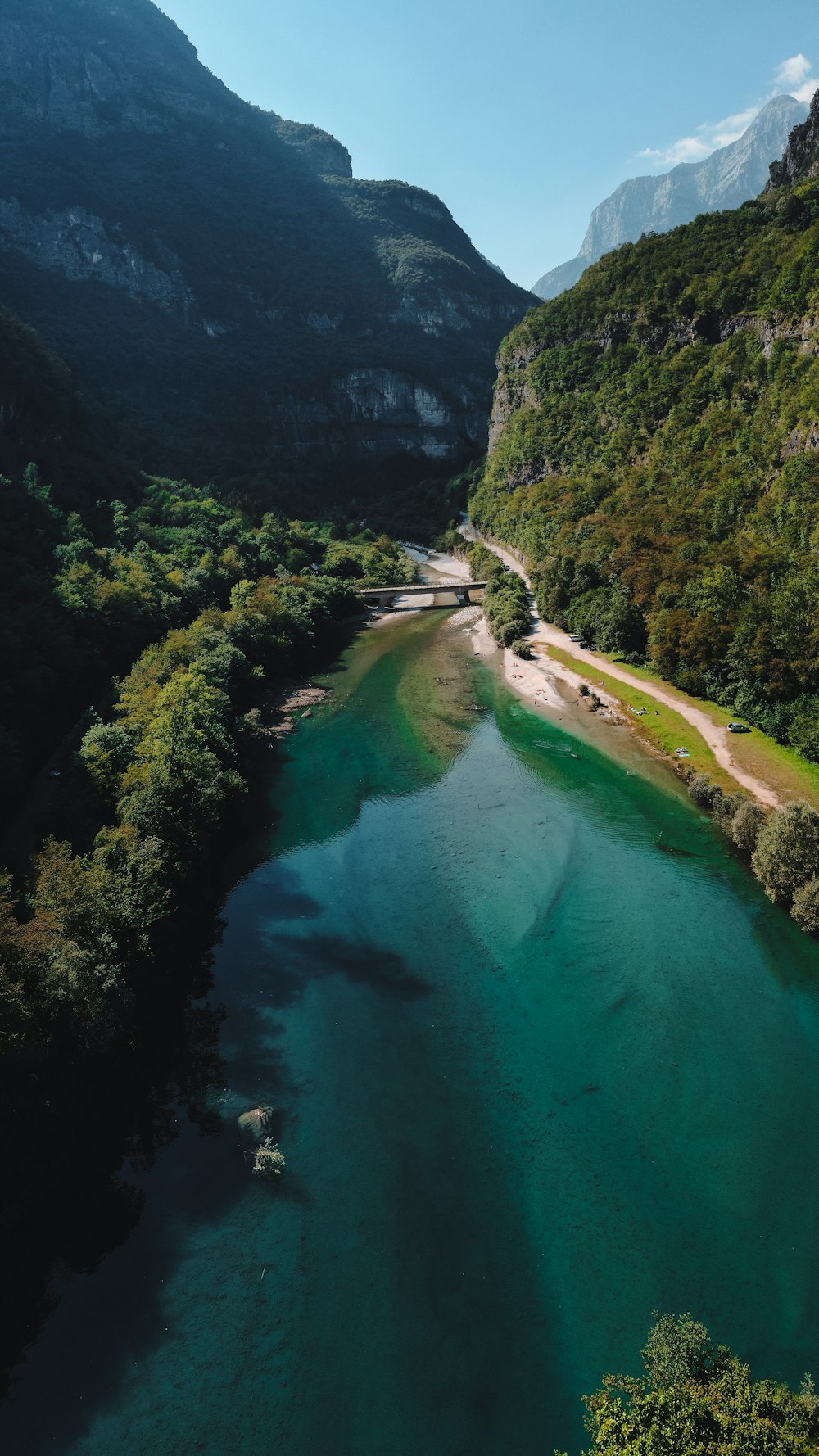 green trees beside river during daytime