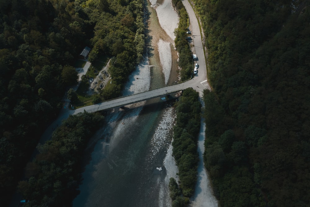 aerial view of road in between trees