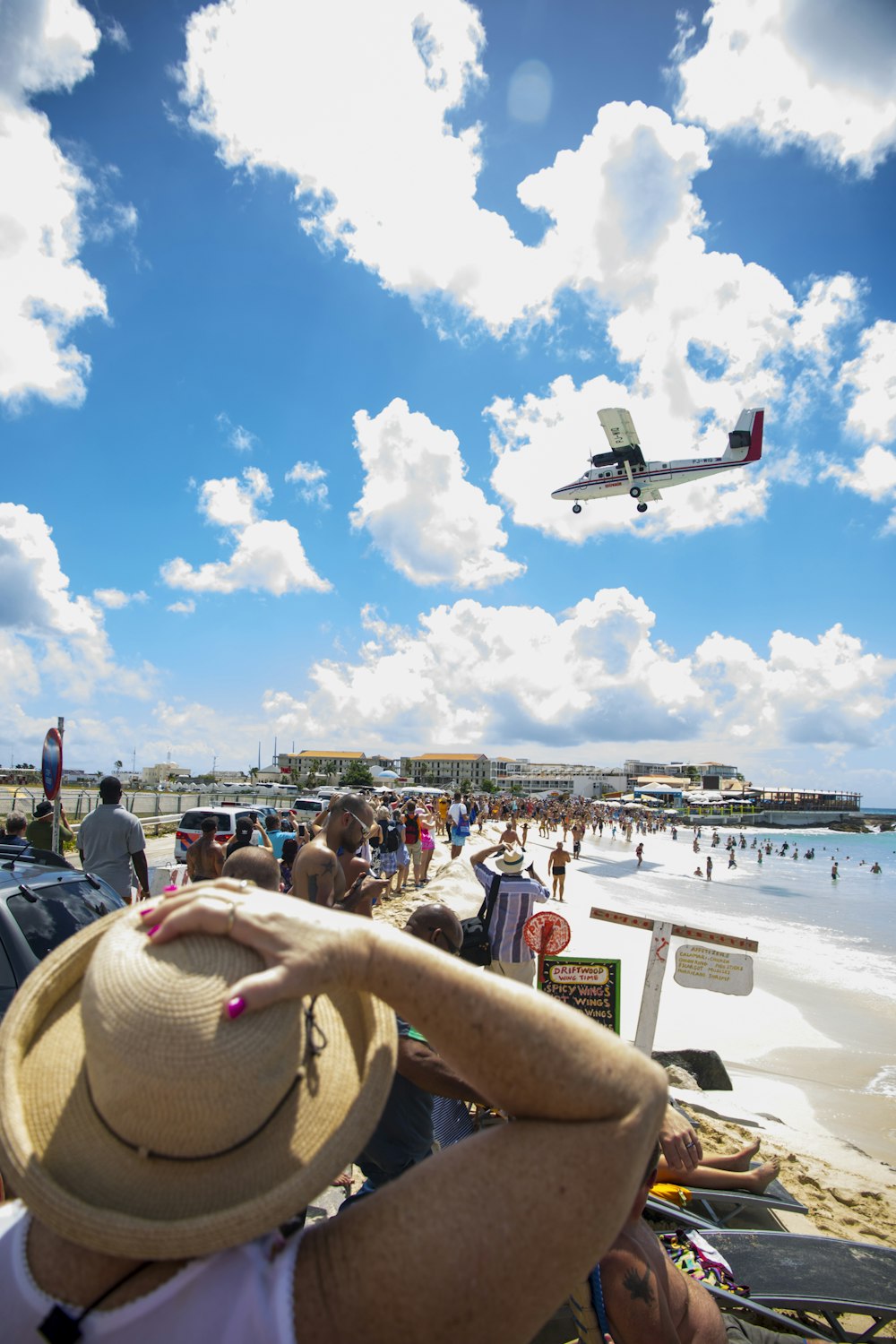 people on beach during daytime