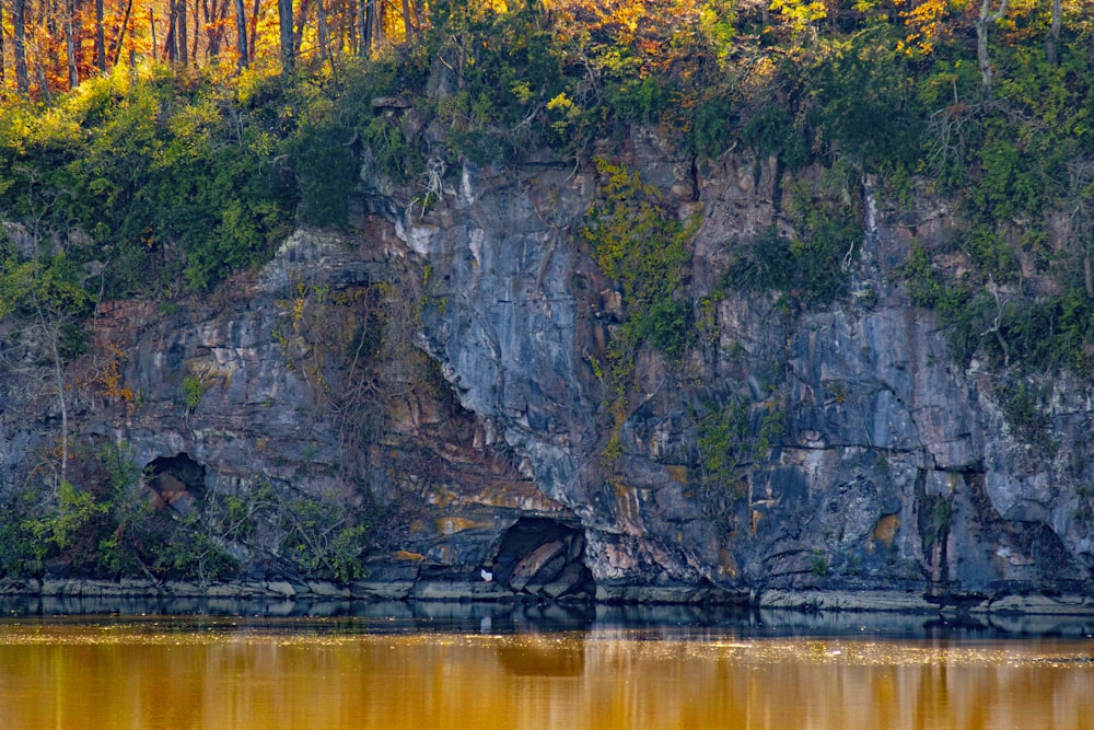 brown and green mountain beside body of water during daytime