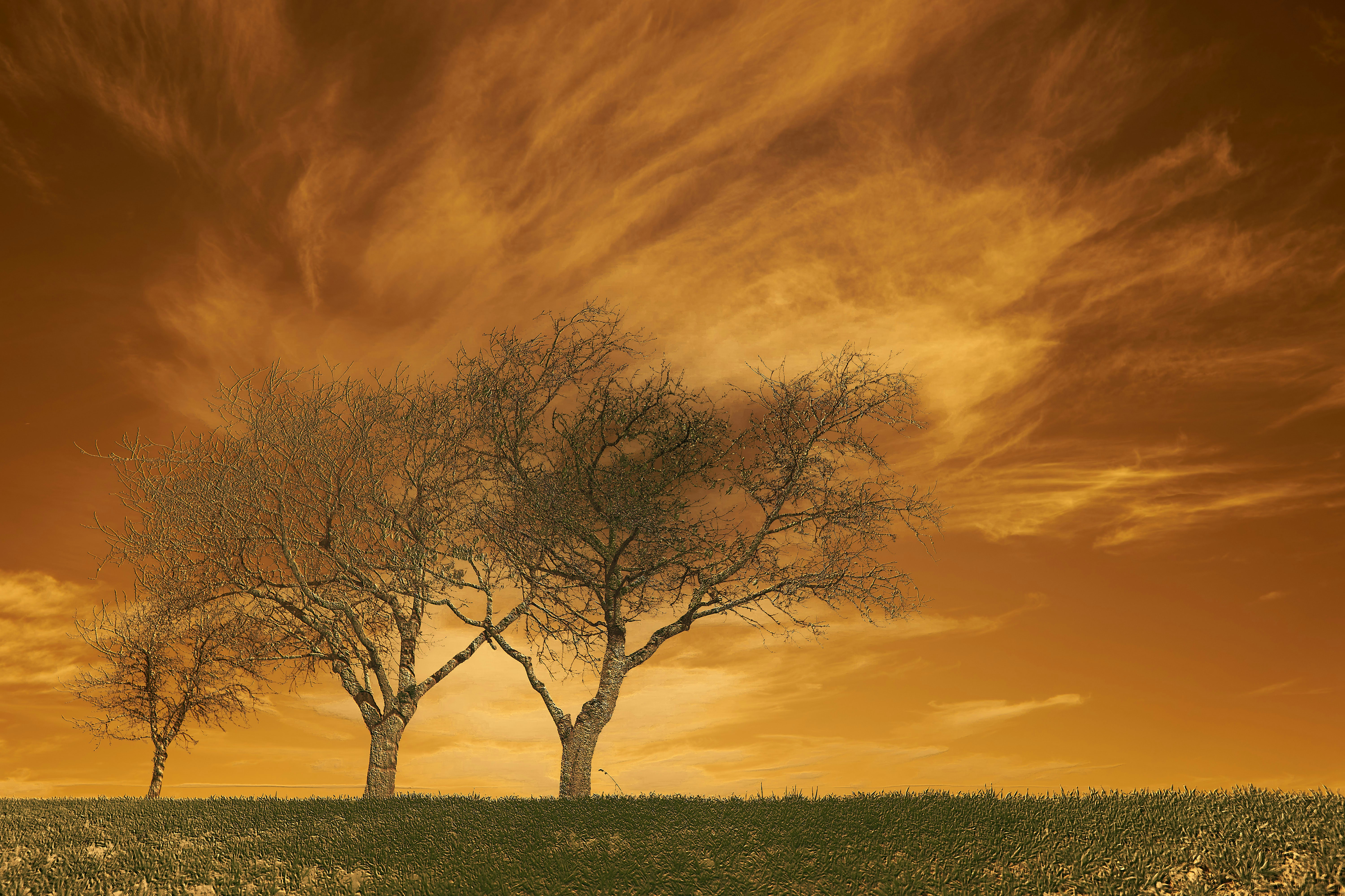 Photo by wolfgang_hasselmann