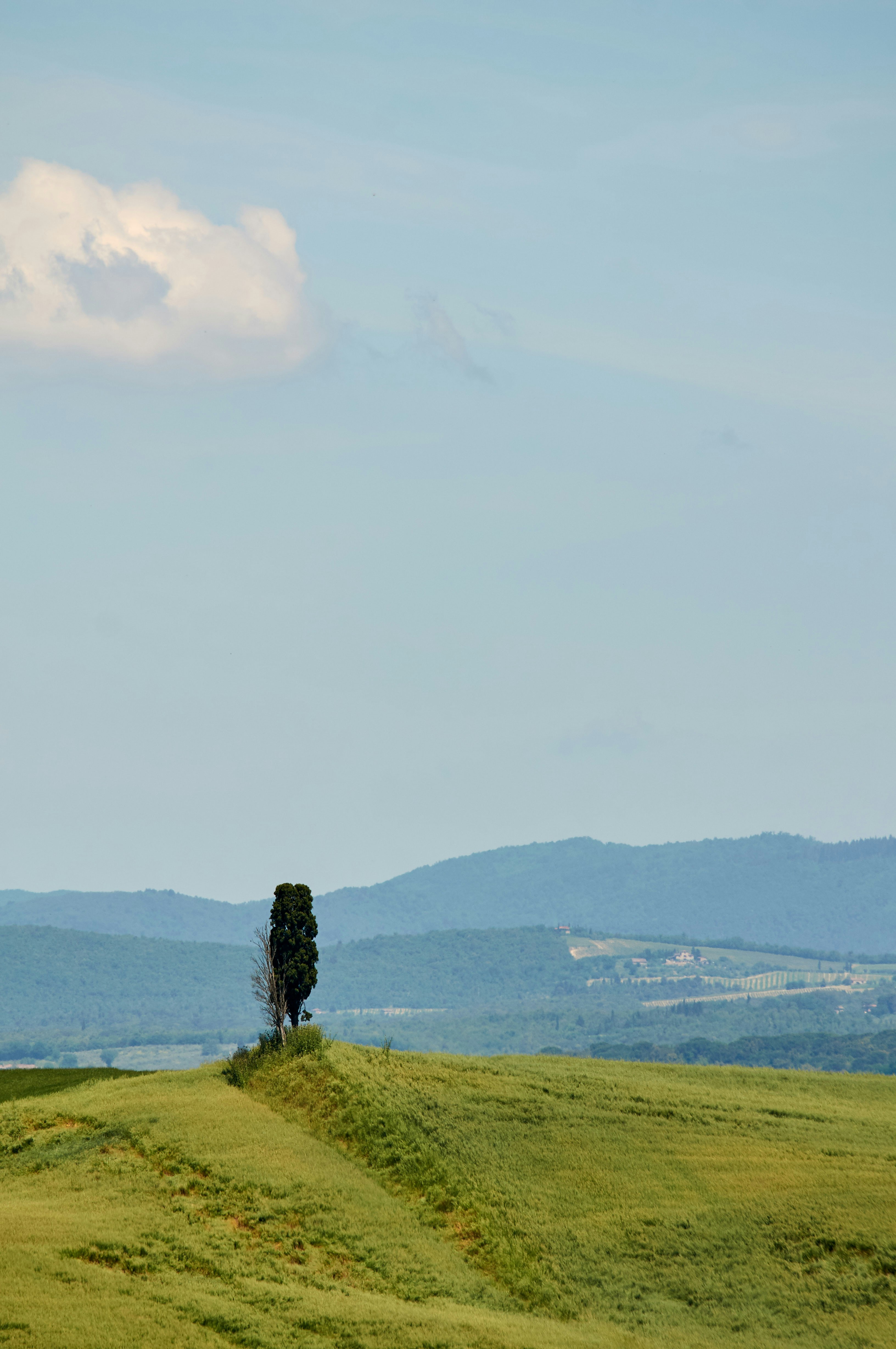 Photo by wolfgang_hasselmann