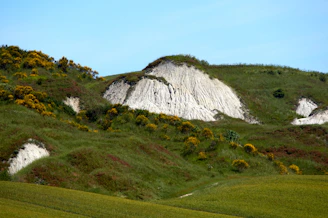 The lush Potager Fruiter garden sprawling beneath the towering white chalk cliffs.