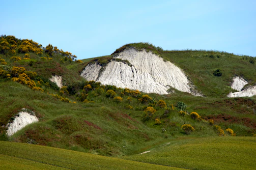 The lush Potager Fruiter garden sprawling beneath the towering white chalk cliffs.